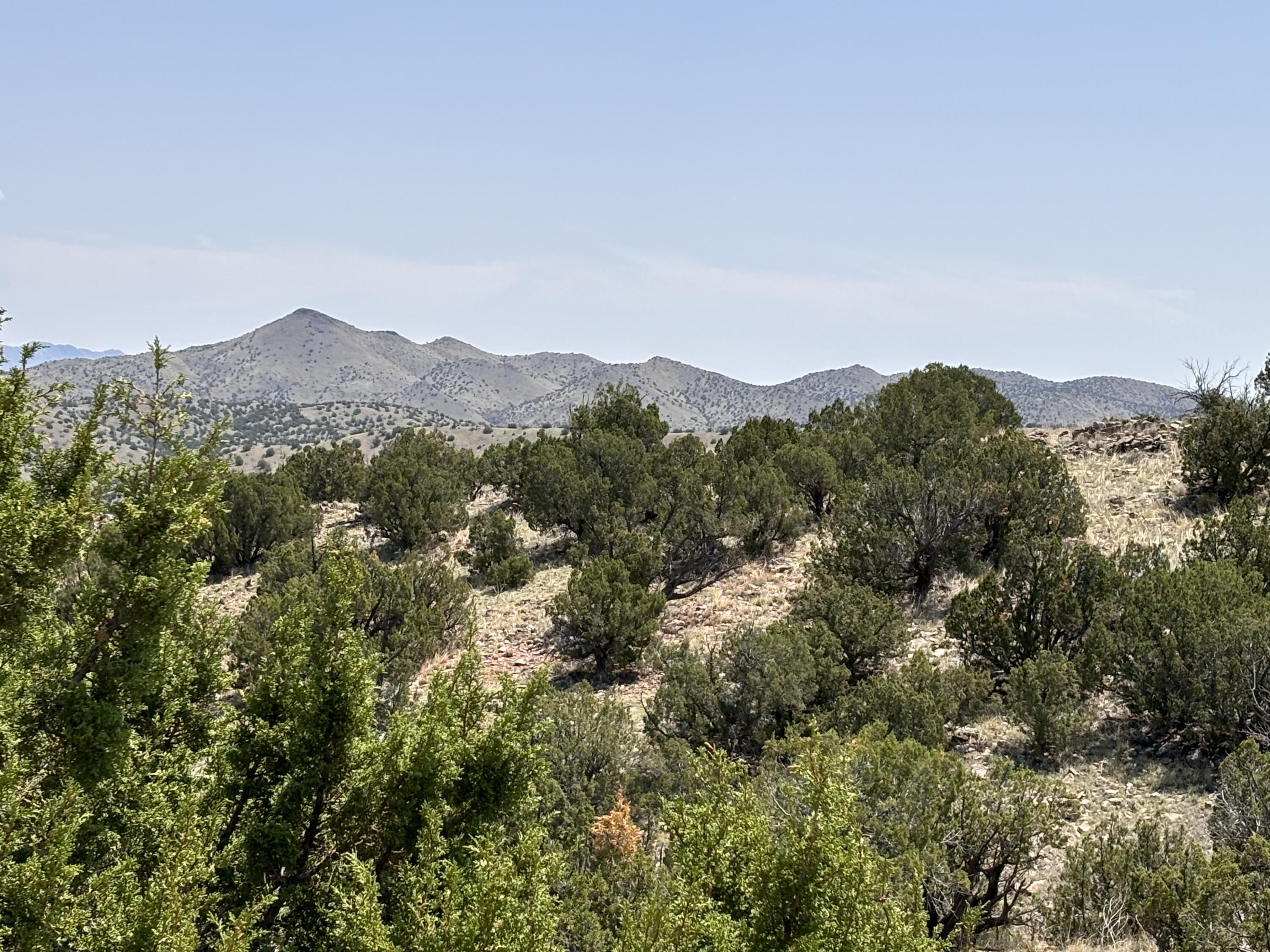 Lot 13 Abbe Springs Ranches