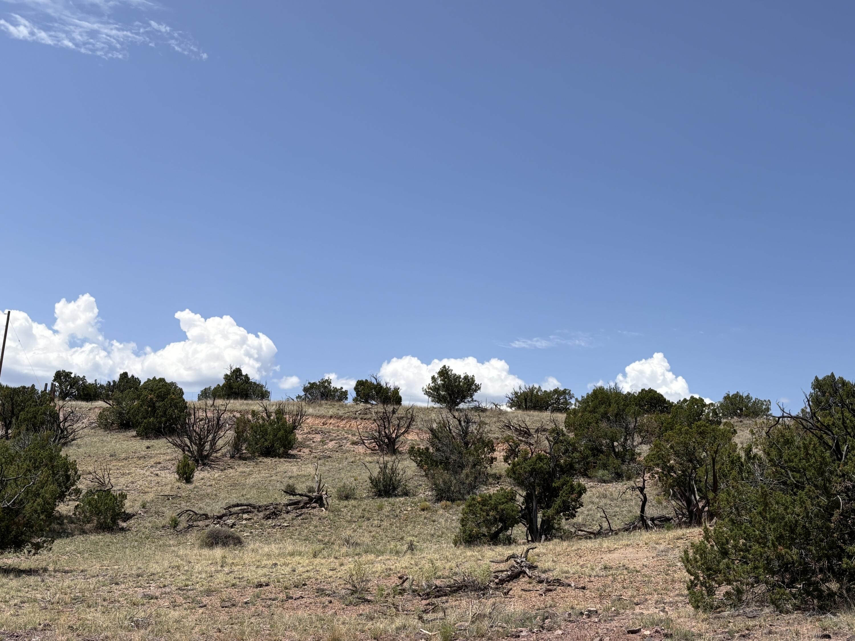 Lot 13 Abbe Springs Ranches