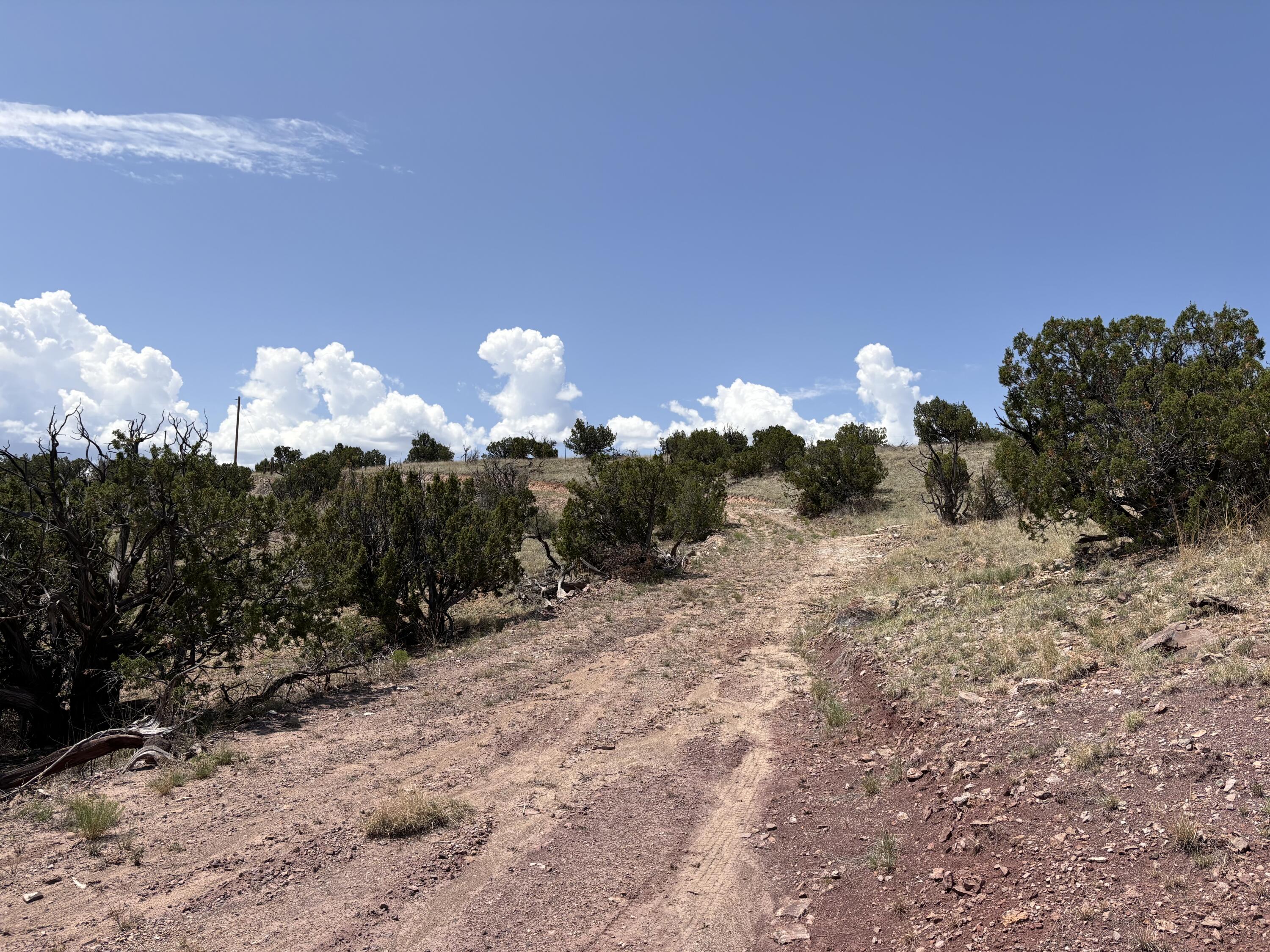 Lot 13 Abbe Springs Ranches
