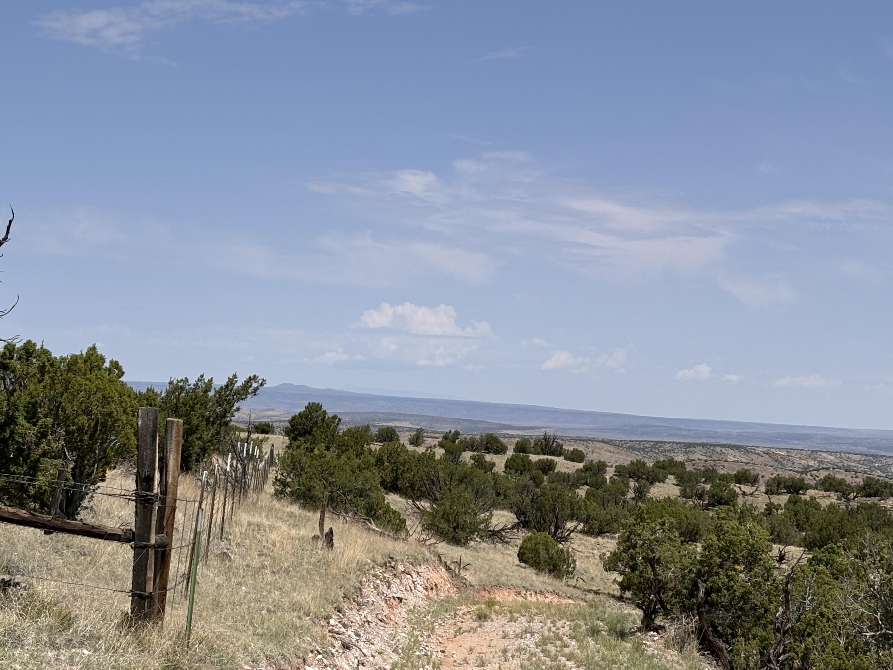 Lot 13 Abbe Springs Ranches