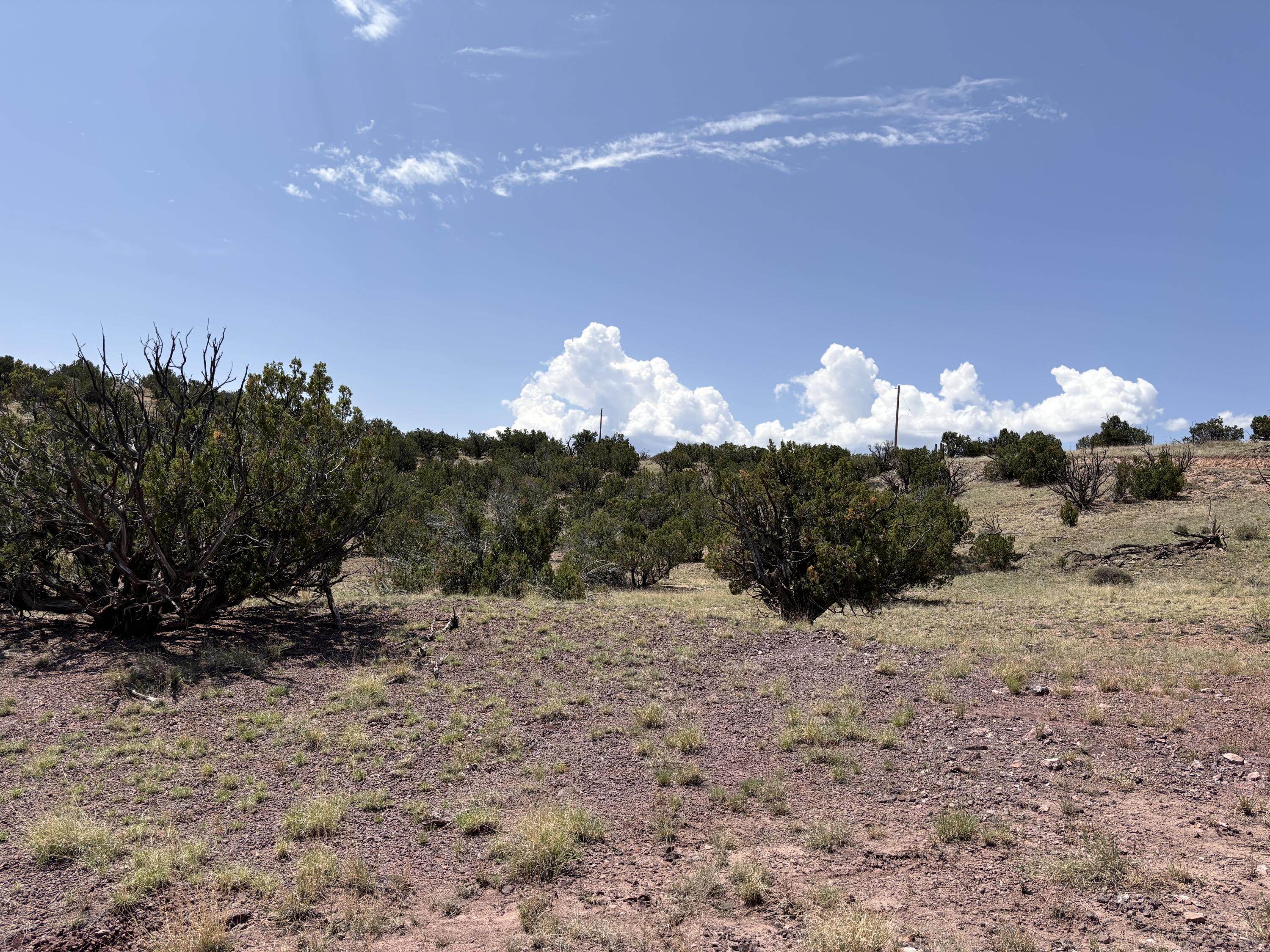 Lot 13 Abbe Springs Ranches