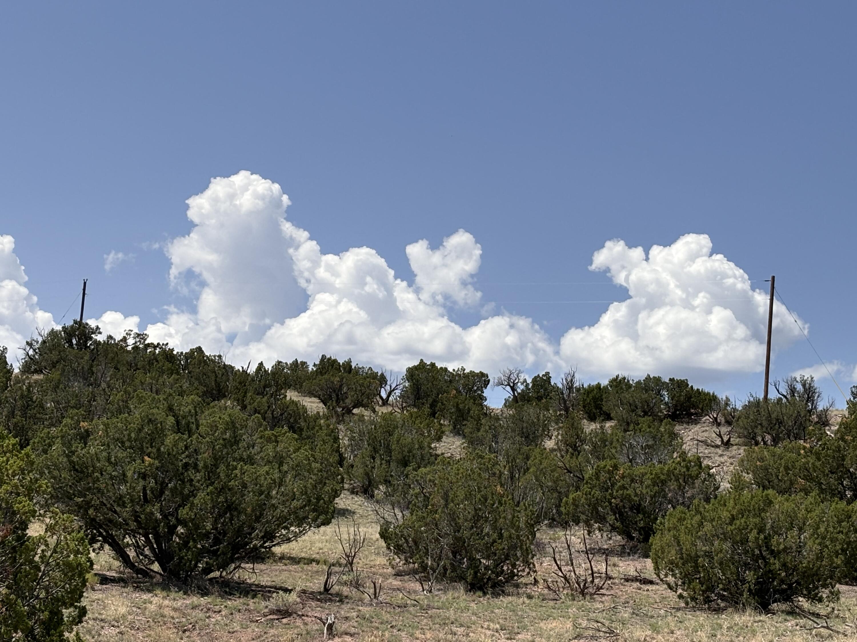 Lot 13 Abbe Springs Ranches