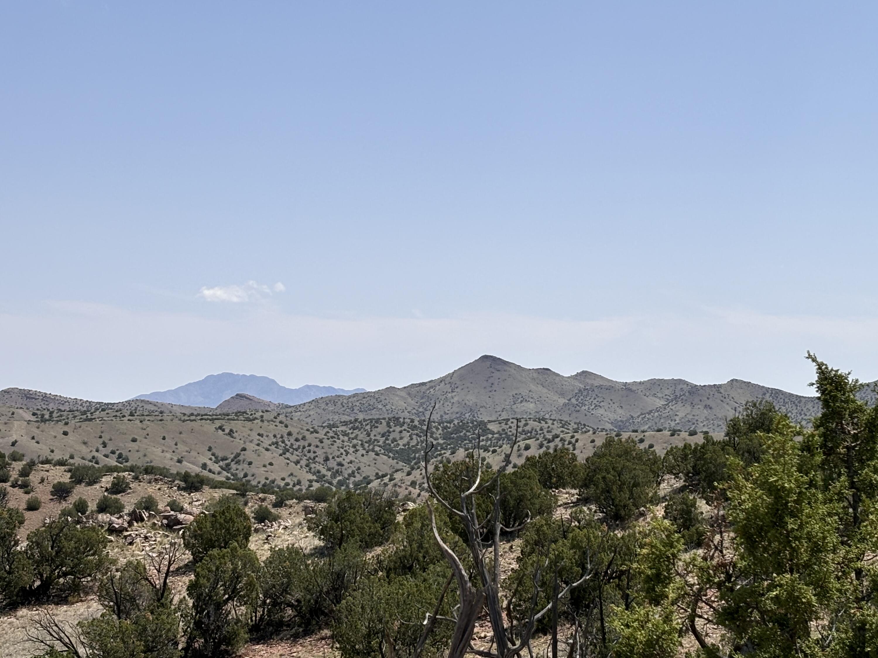 Lot 13 Abbe Springs Ranches