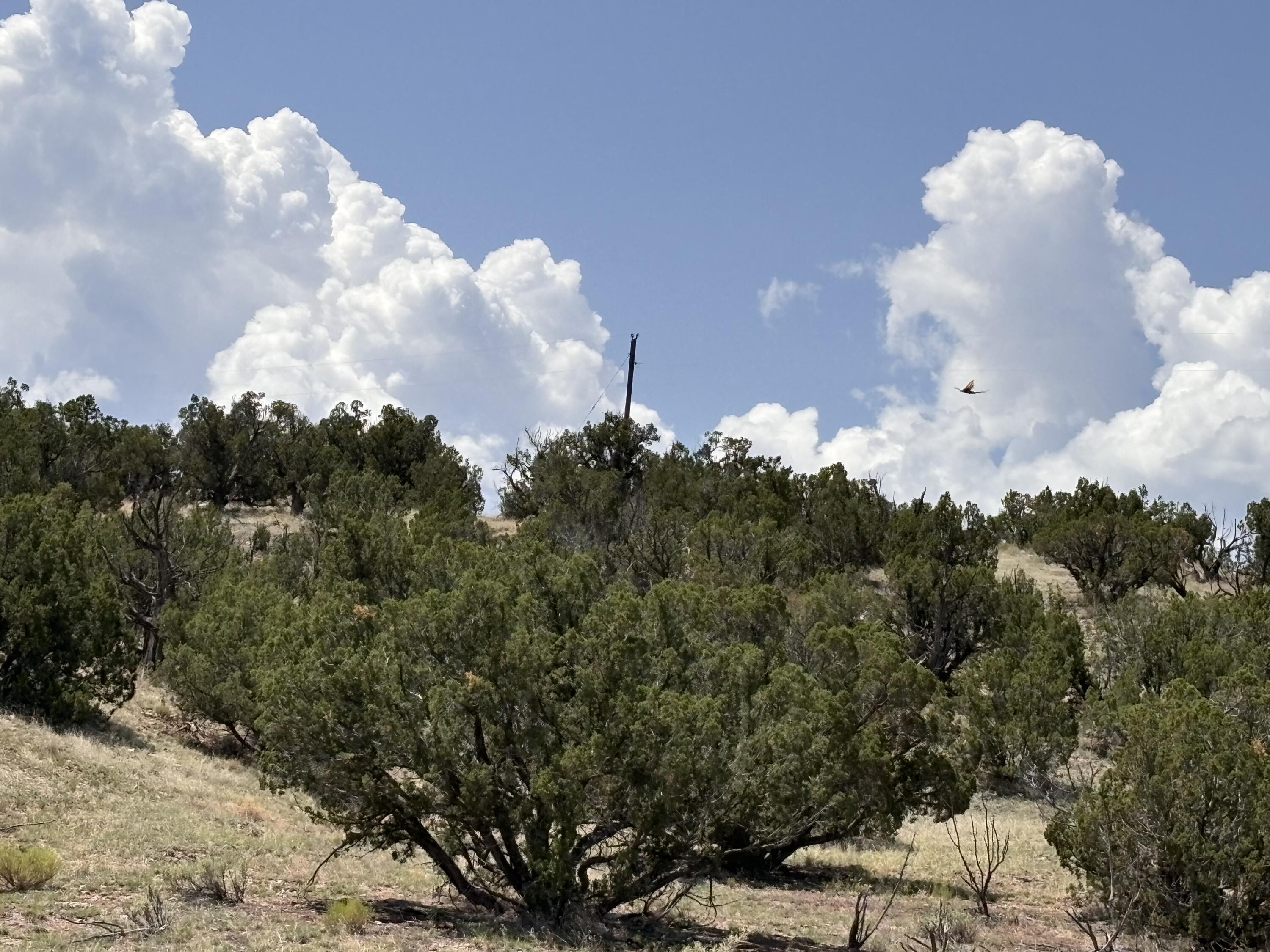 Lot 13 Abbe Springs Ranches