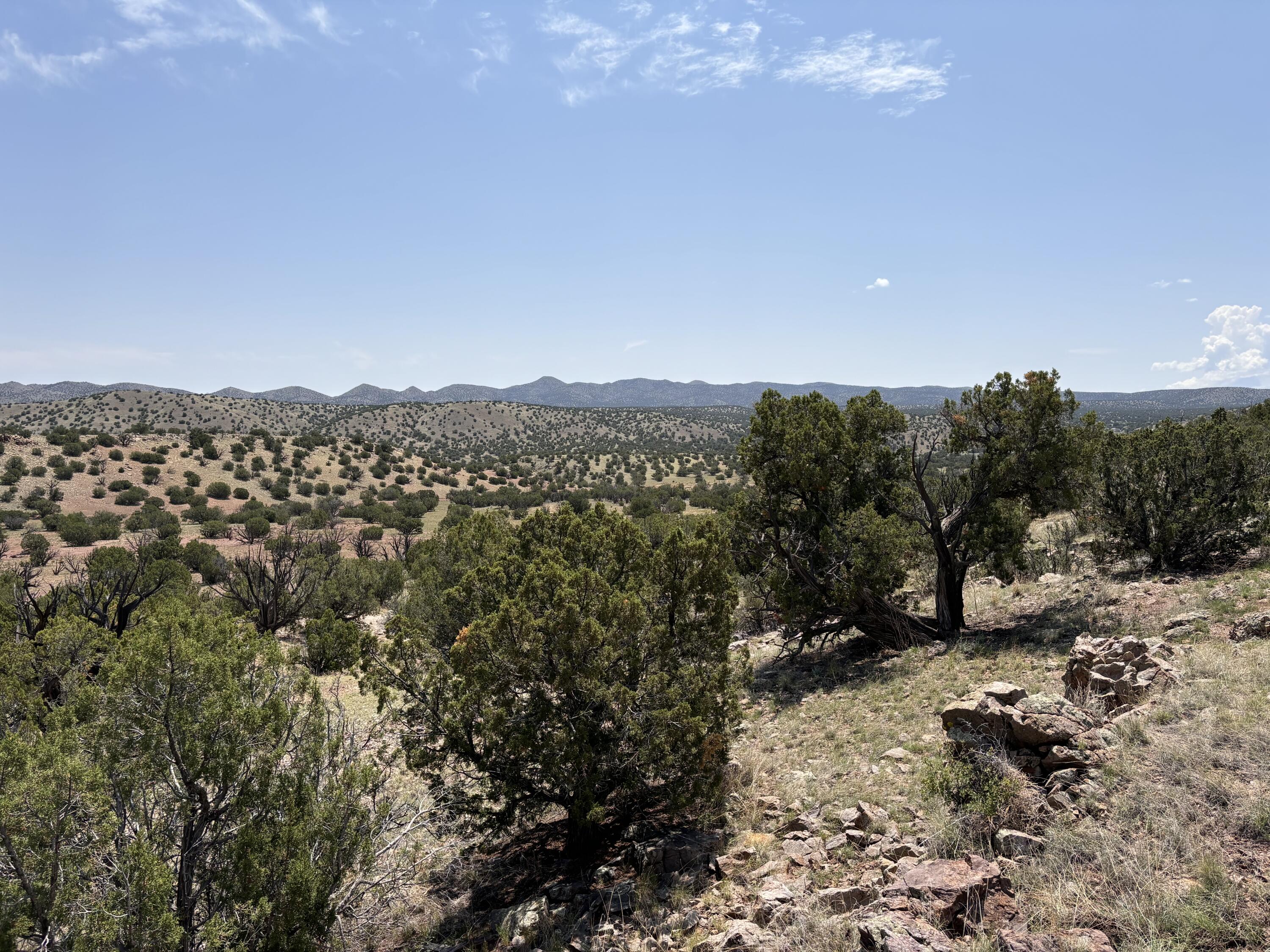 Lot 13 Abbe Springs Ranches