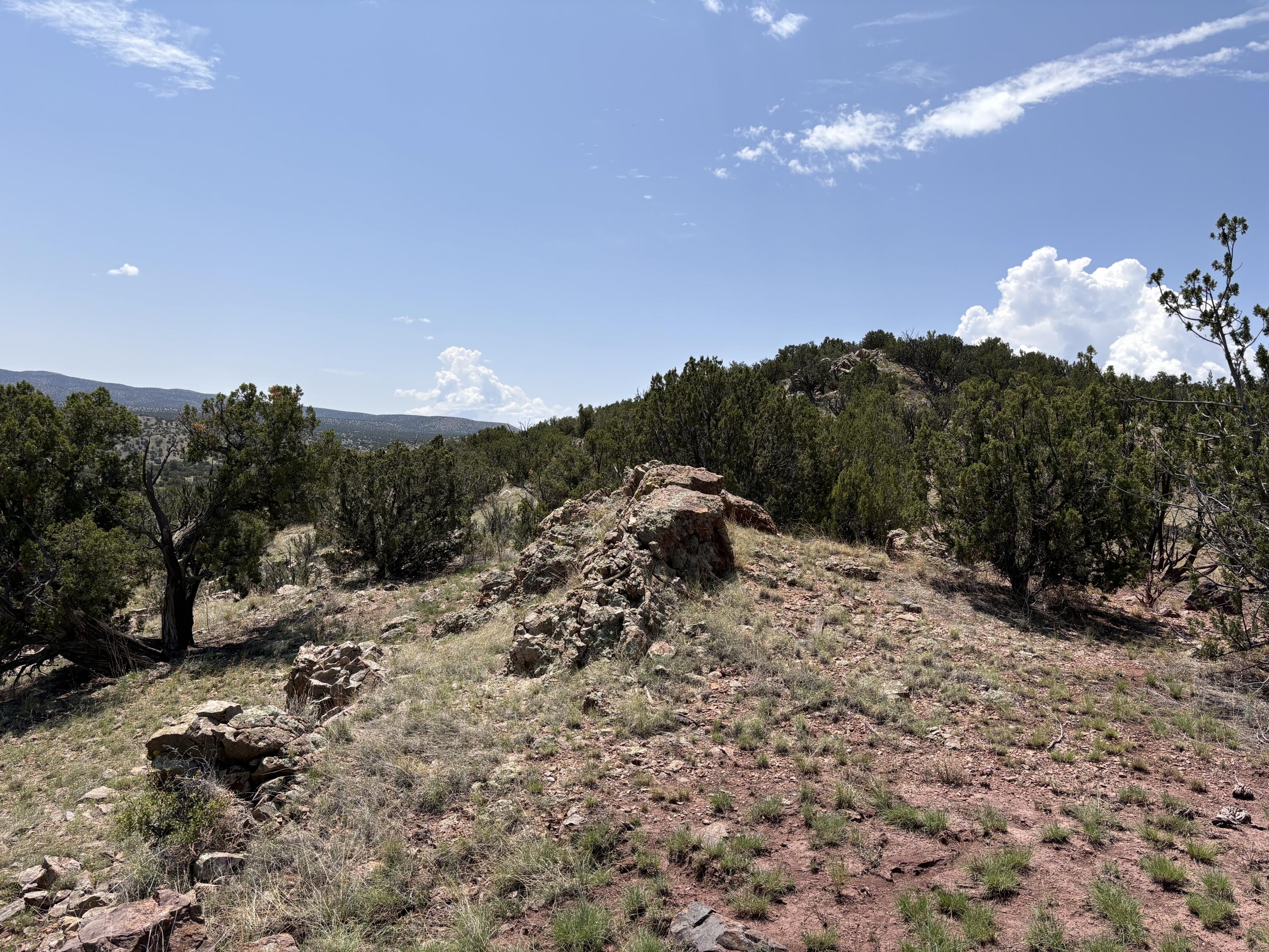 Lot 13 Abbe Springs Ranches