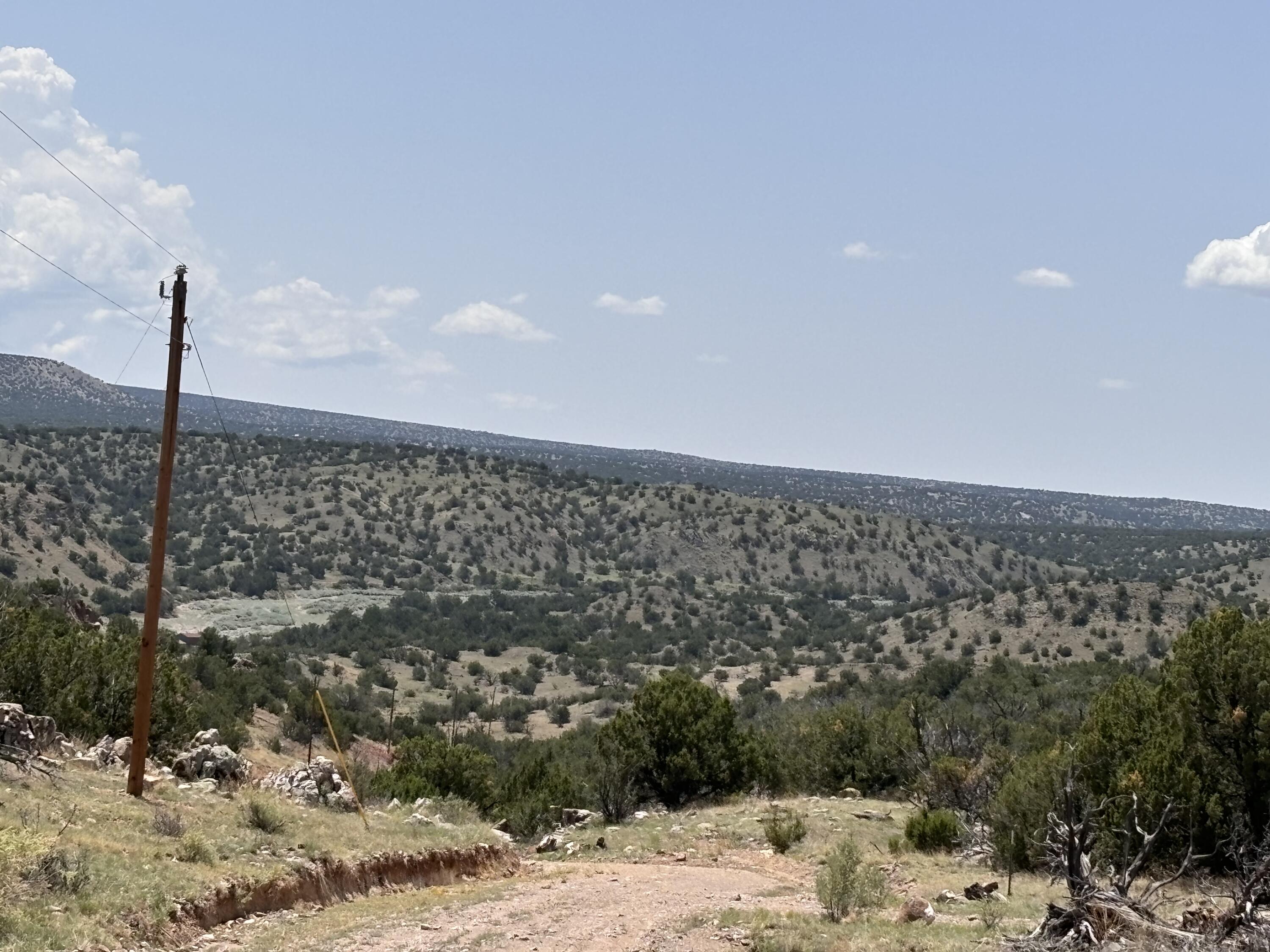 Lot 13 Abbe Springs Ranches