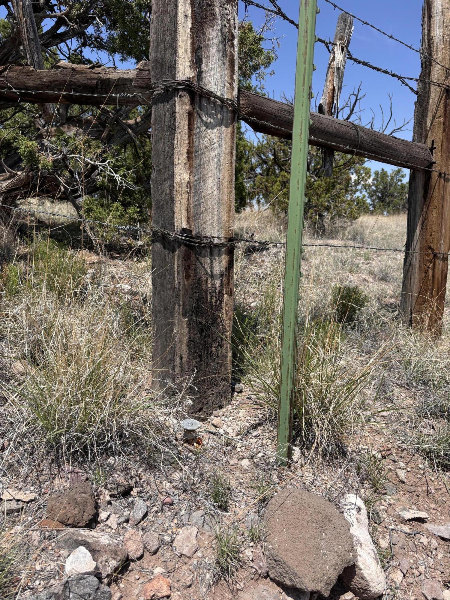 Lot 13 Abbe Springs Ranches