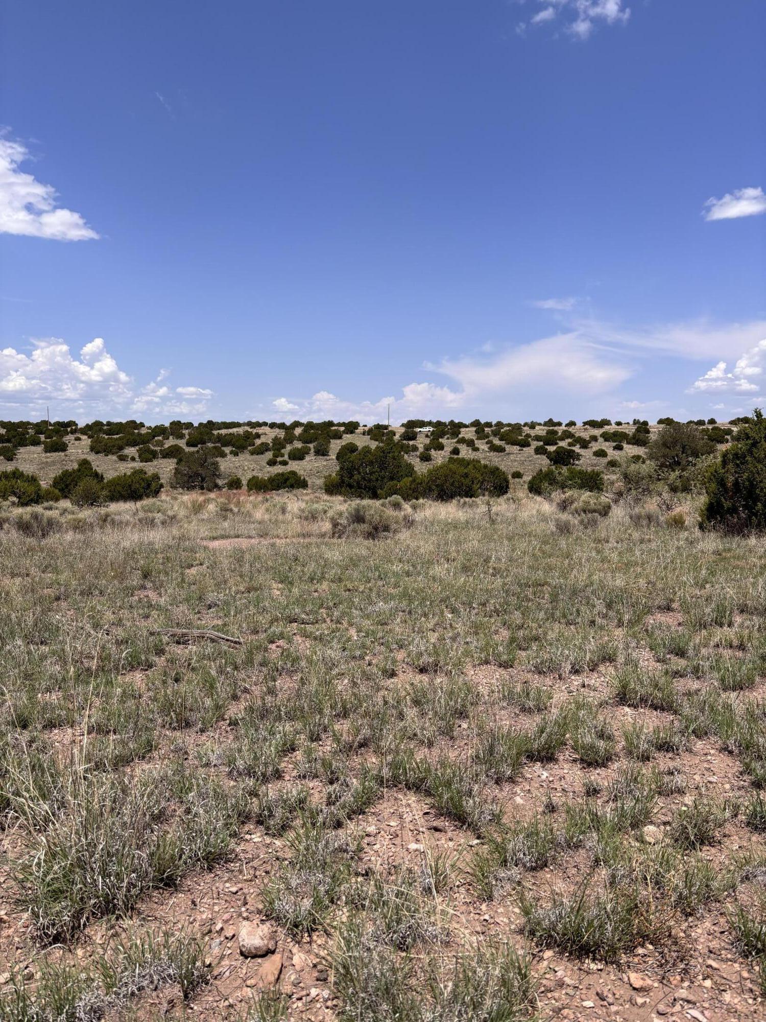Lot 13 Abbe Springs Ranches