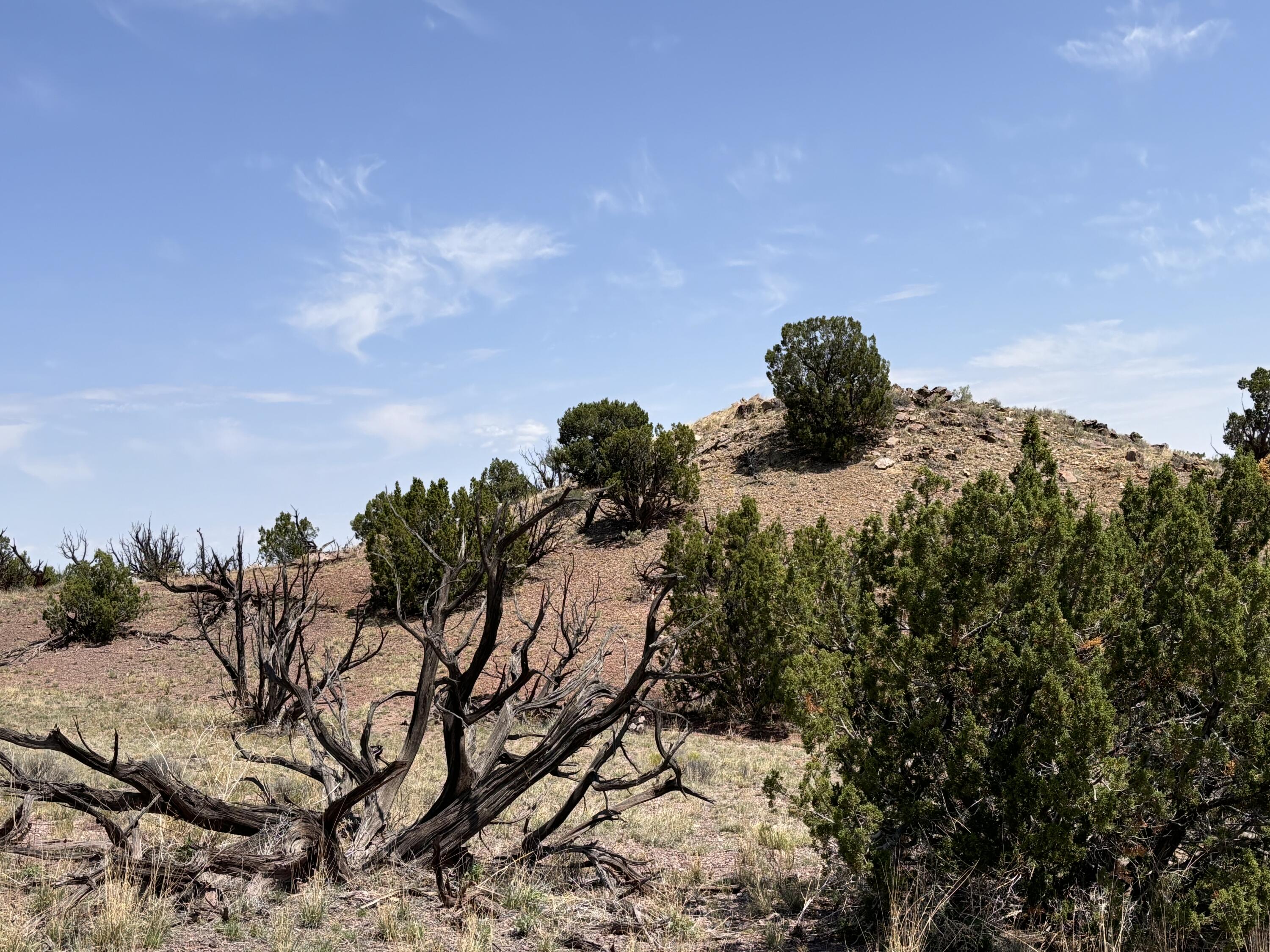 Lot 13 Abbe Springs Ranches
