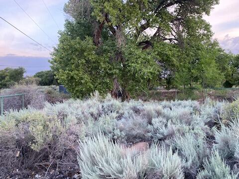 Loma Larga Tract 147-B Mrgcd