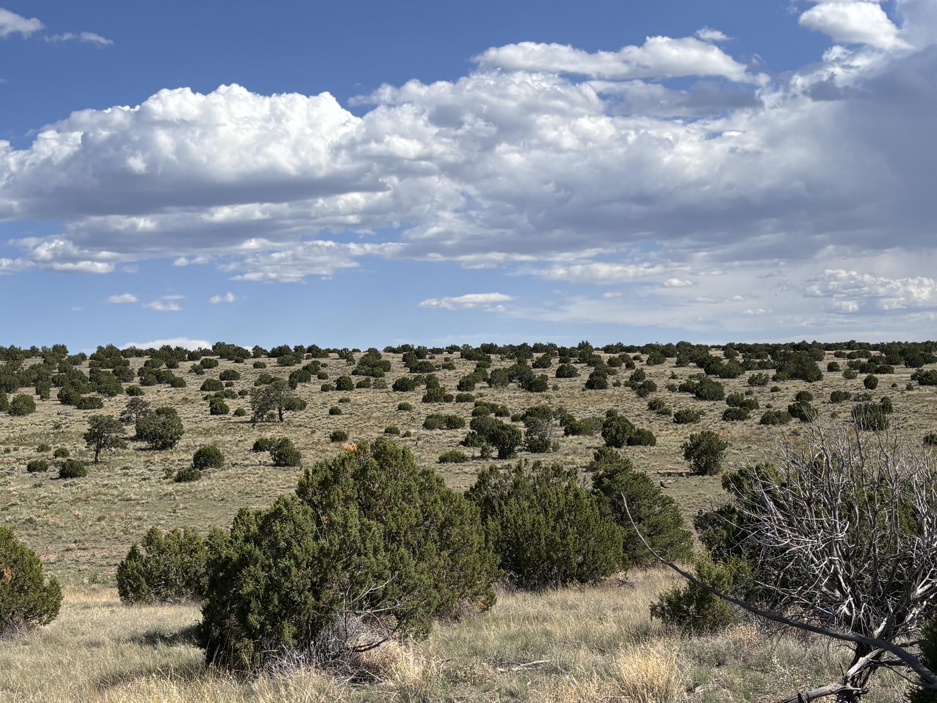 47 Pinon Springs Road