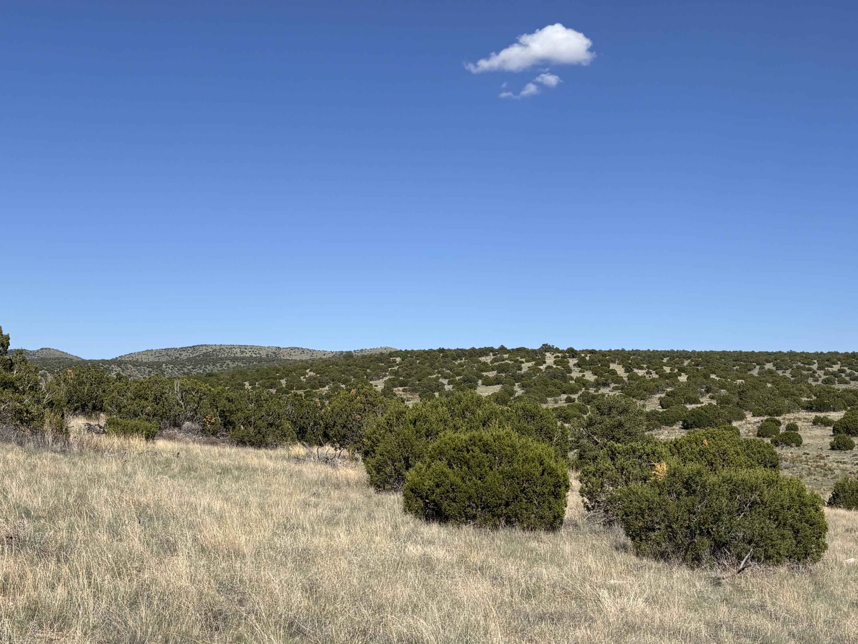 47 Pinon Springs Road