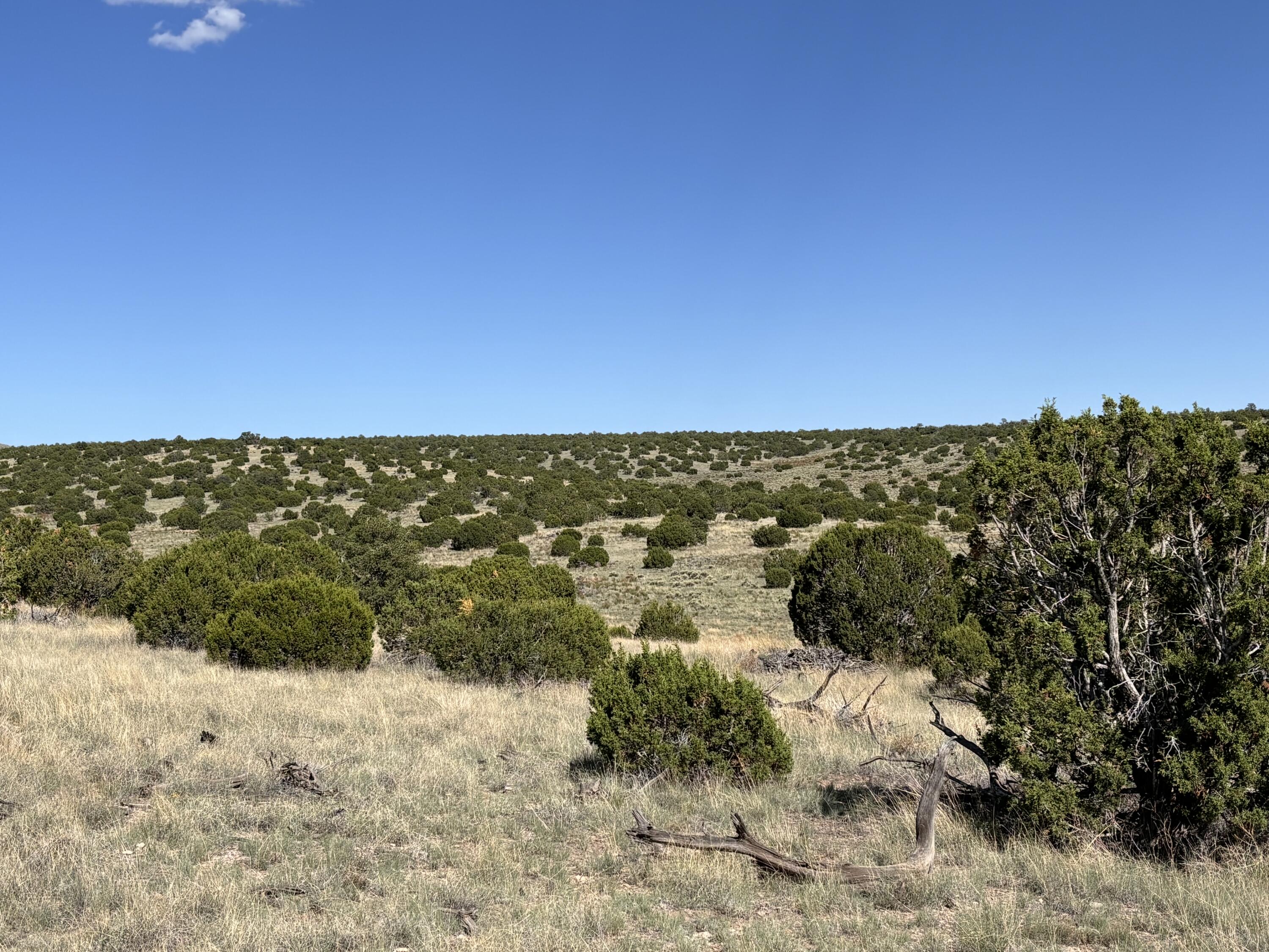 47 Pinon Springs Road