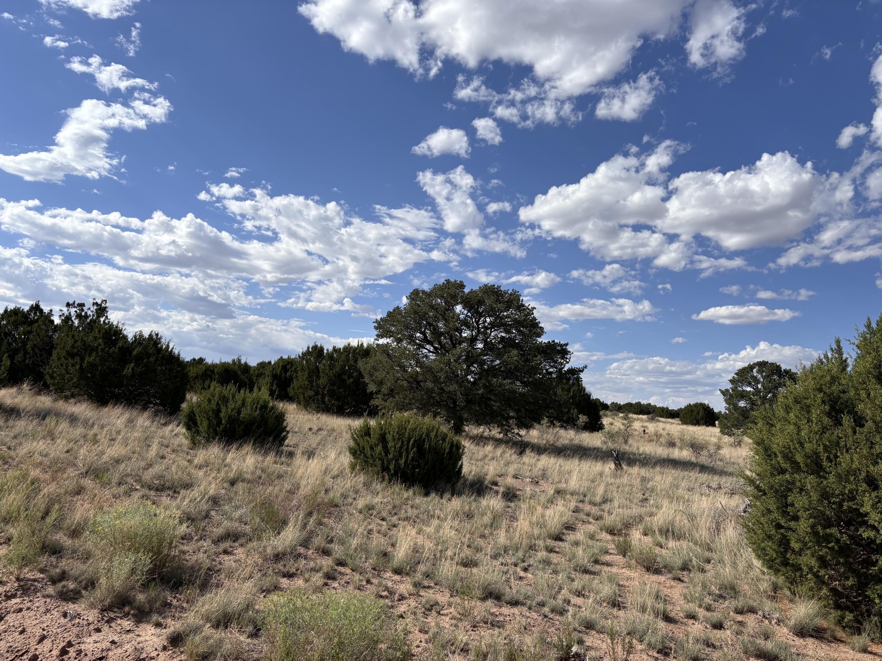 47 Pinon Springs Road