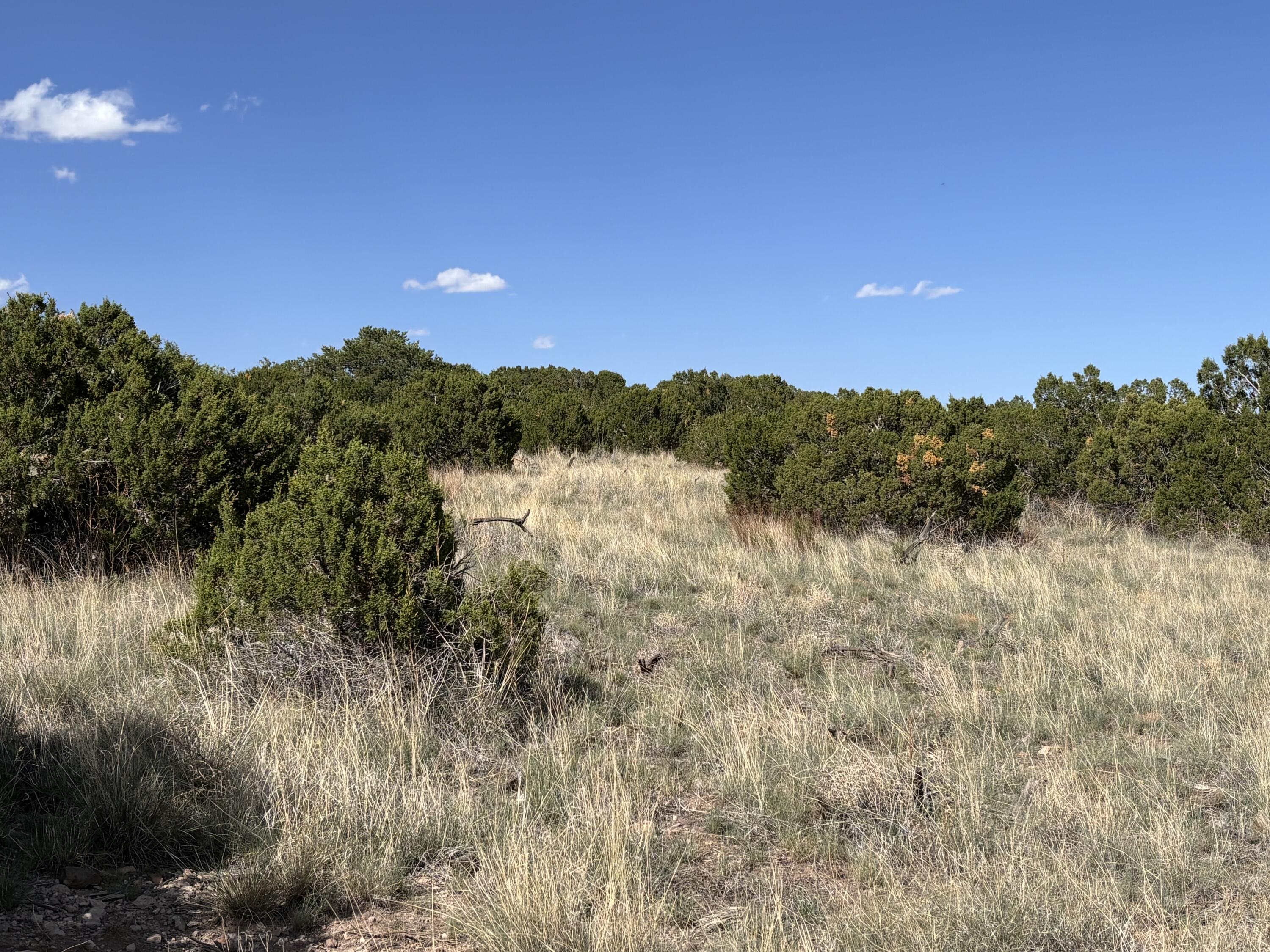 47 Pinon Springs Road