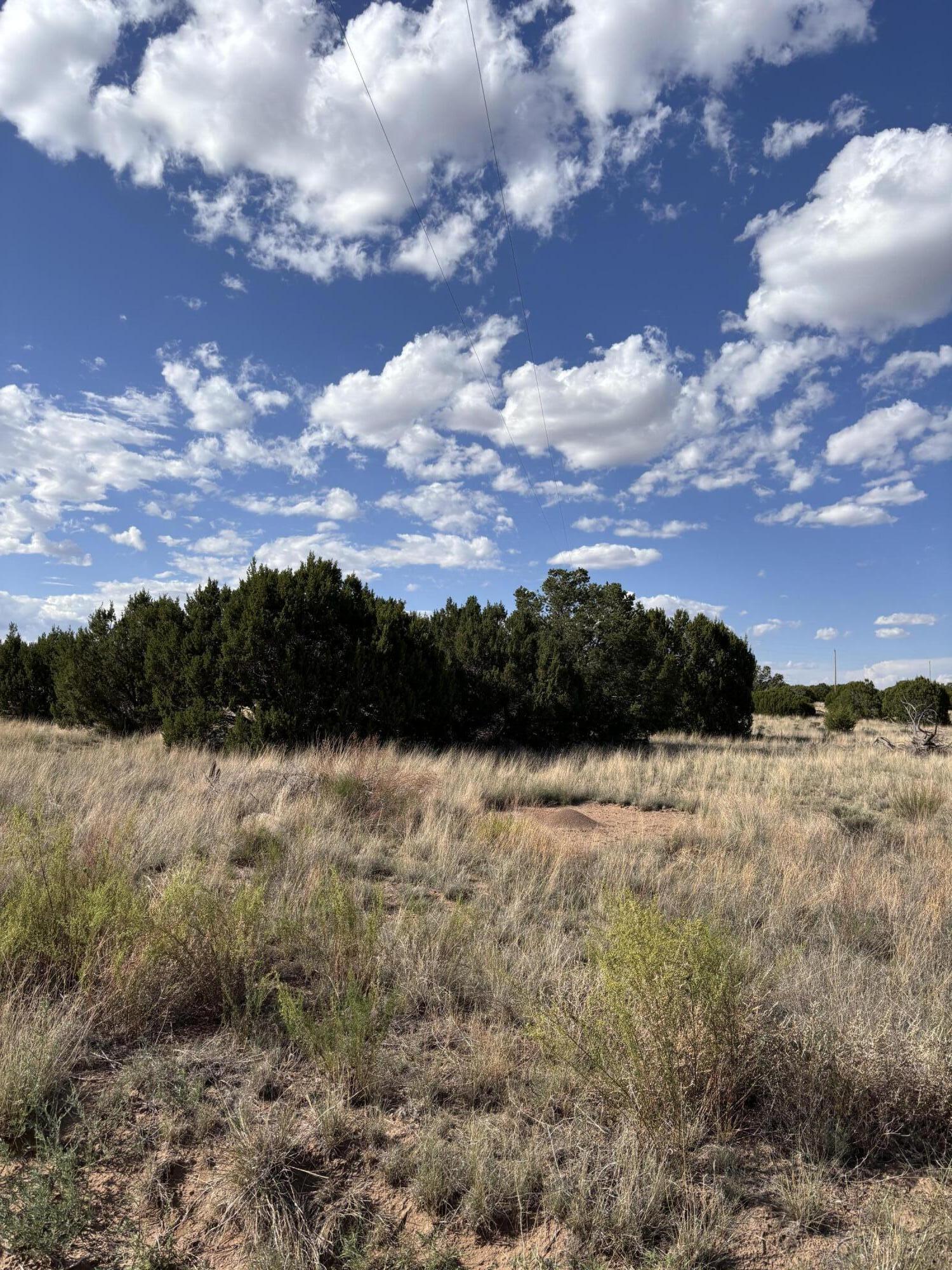 47 Pinon Springs Road