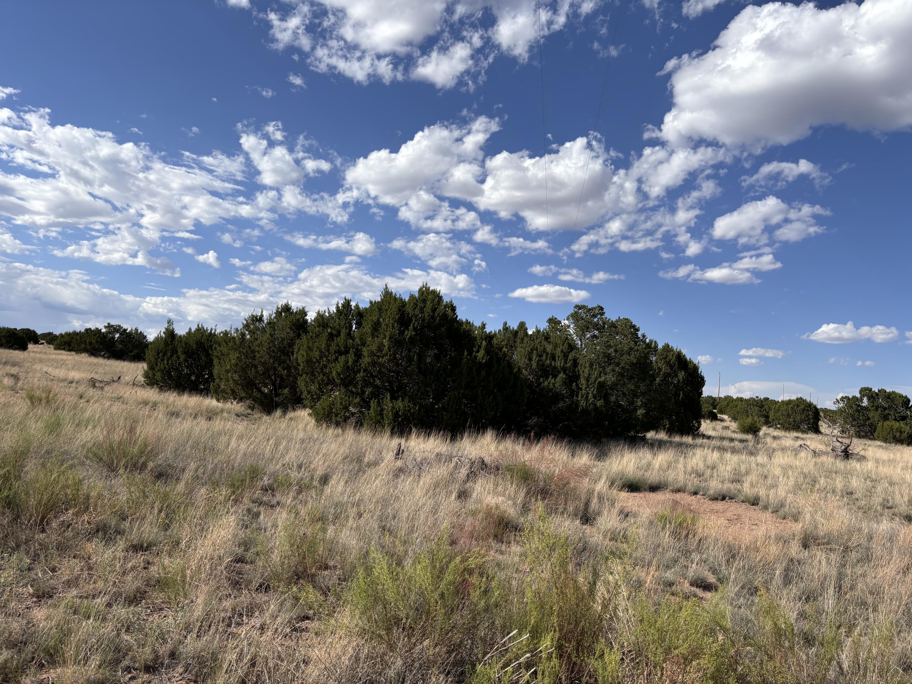 47 Pinon Springs Road