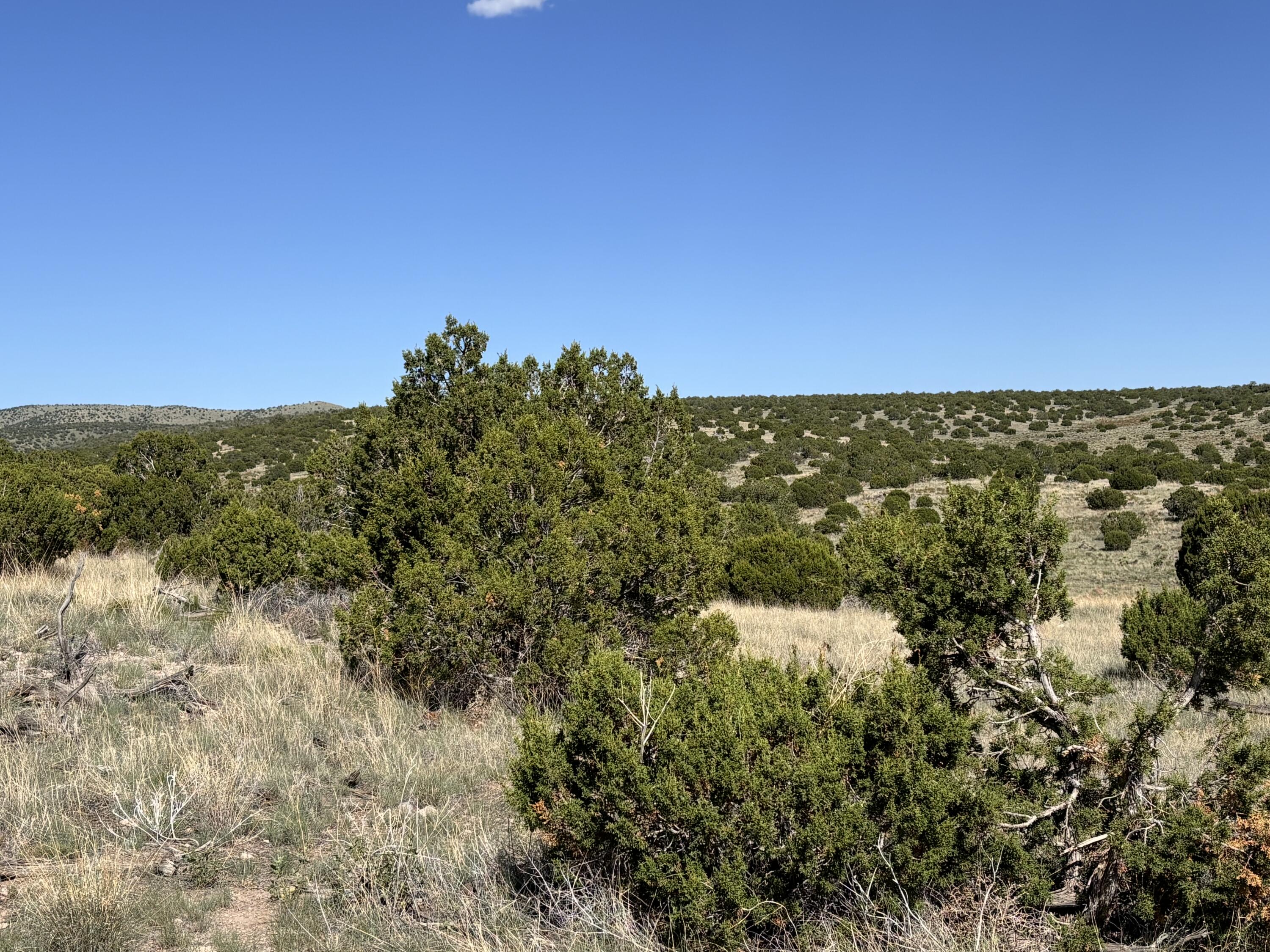 47 Pinon Springs Road