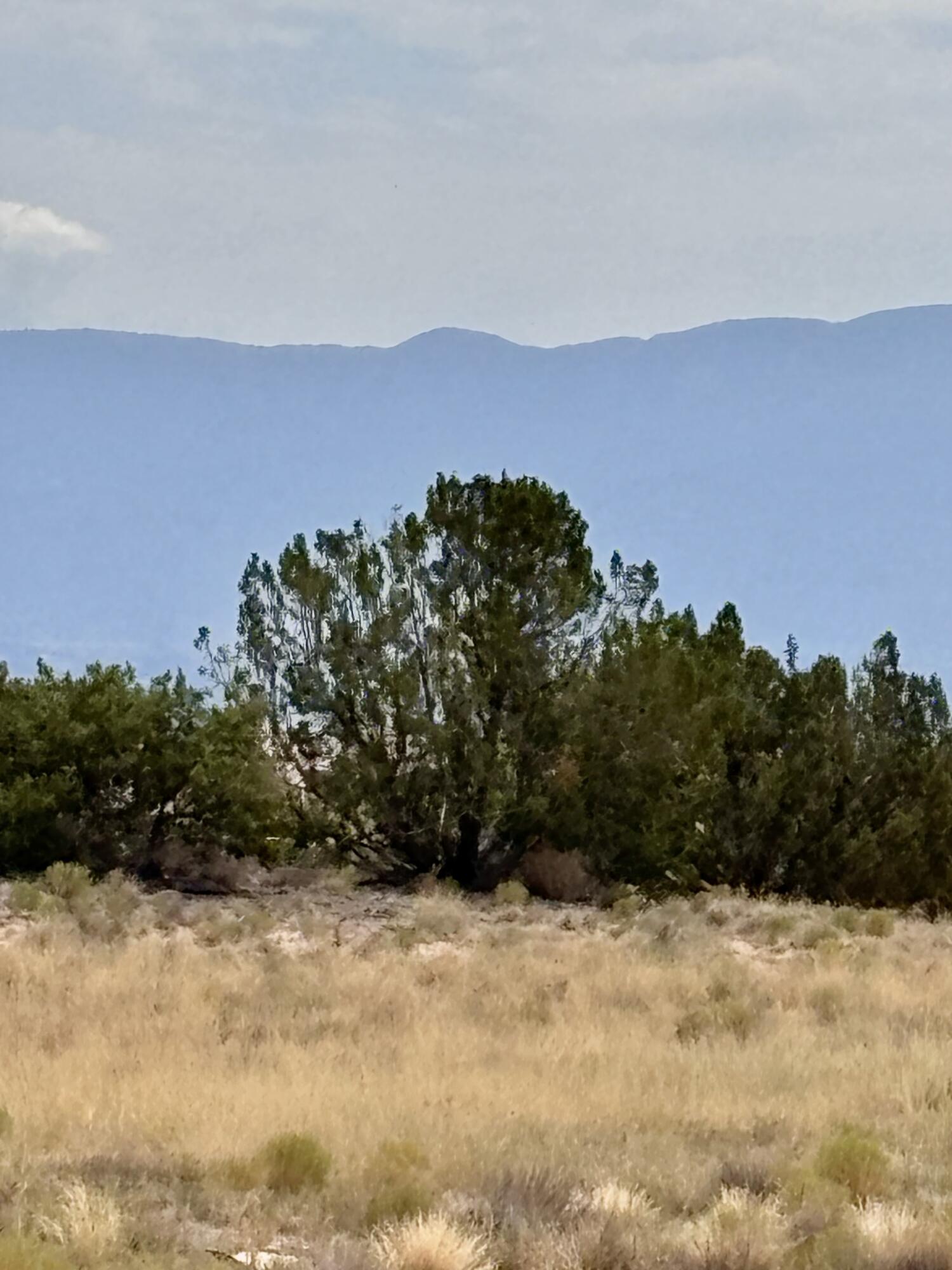 Unit 20 Block 6 Lot 6 Volcano Cliffs NW