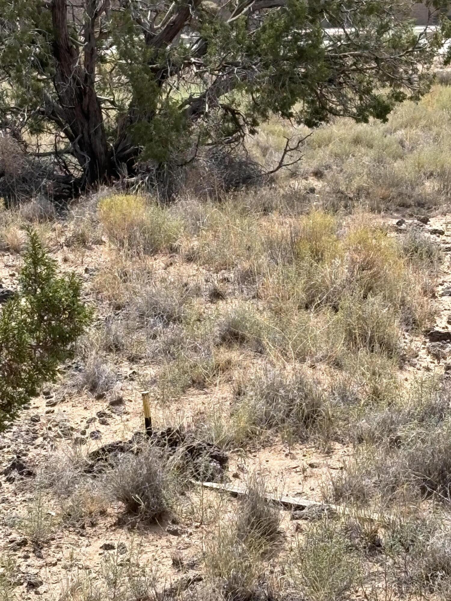 Unit 20 Block 6 Lot 6 Volcano Cliffs NW