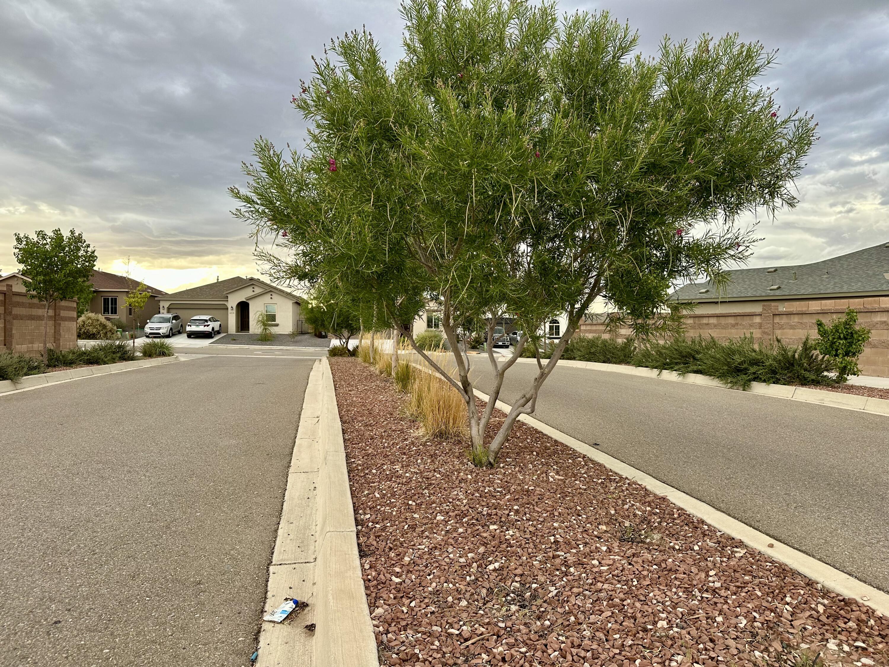 4409 Golden Eagle Loop NE