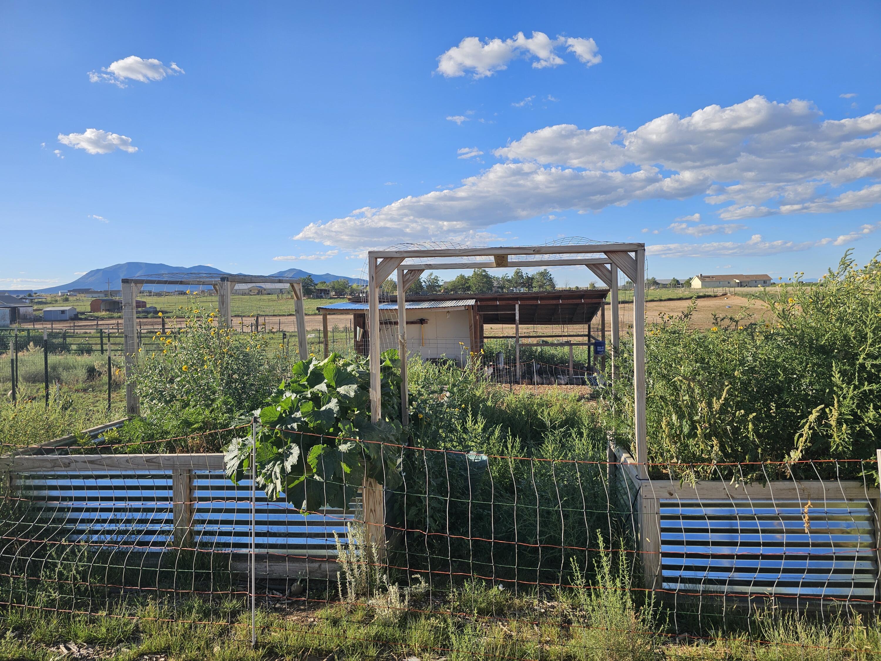 209 E Venus Road