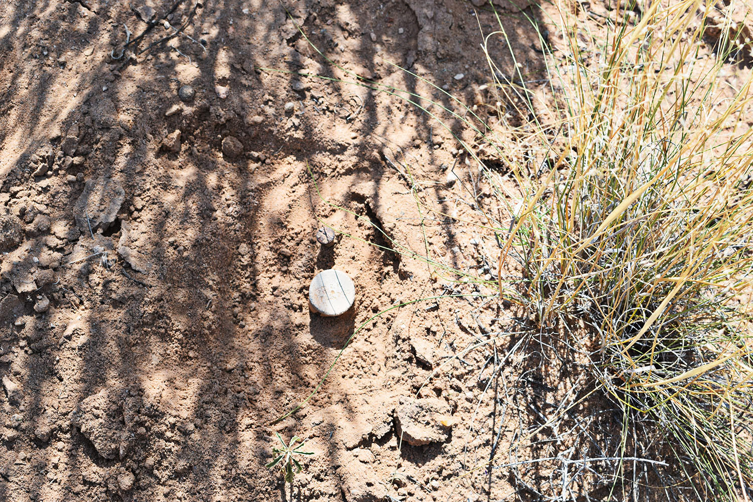 Lot 8 Avenida De Mesa Verde Loop