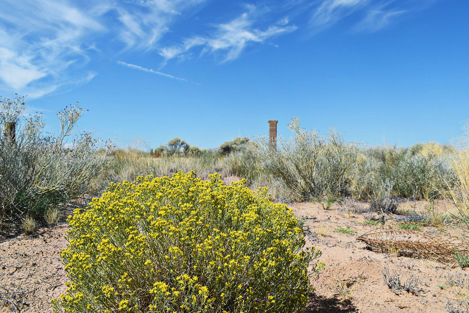 Lot 8 Avenida De Mesa Verde Loop