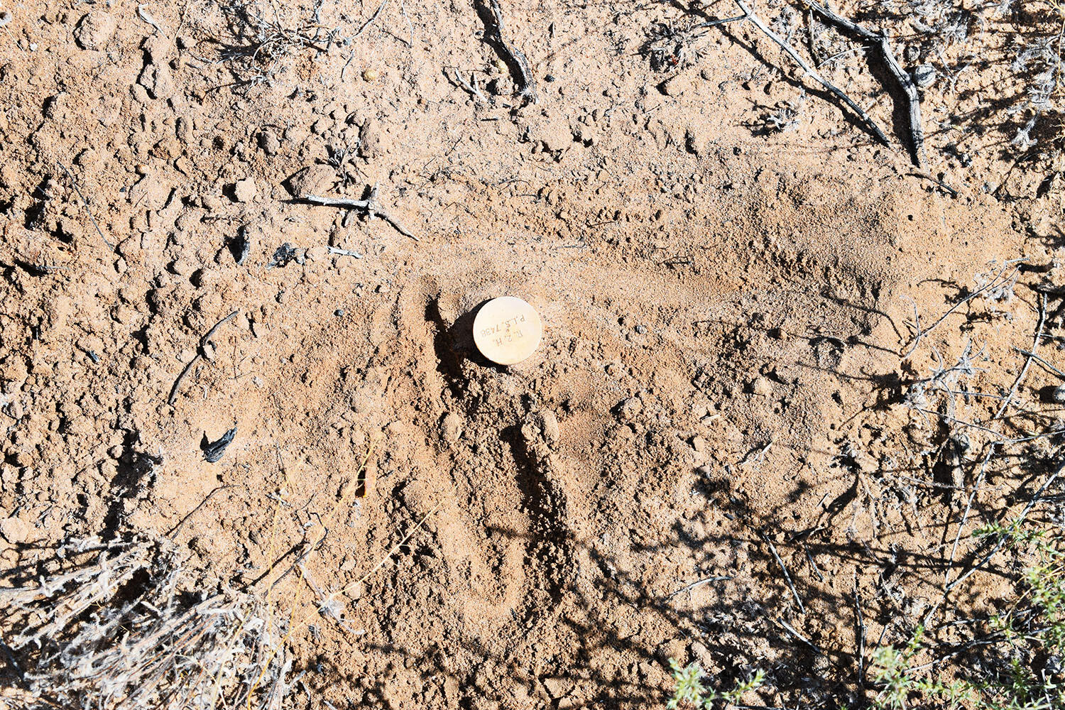 Lot 8 Avenida De Mesa Verde Loop