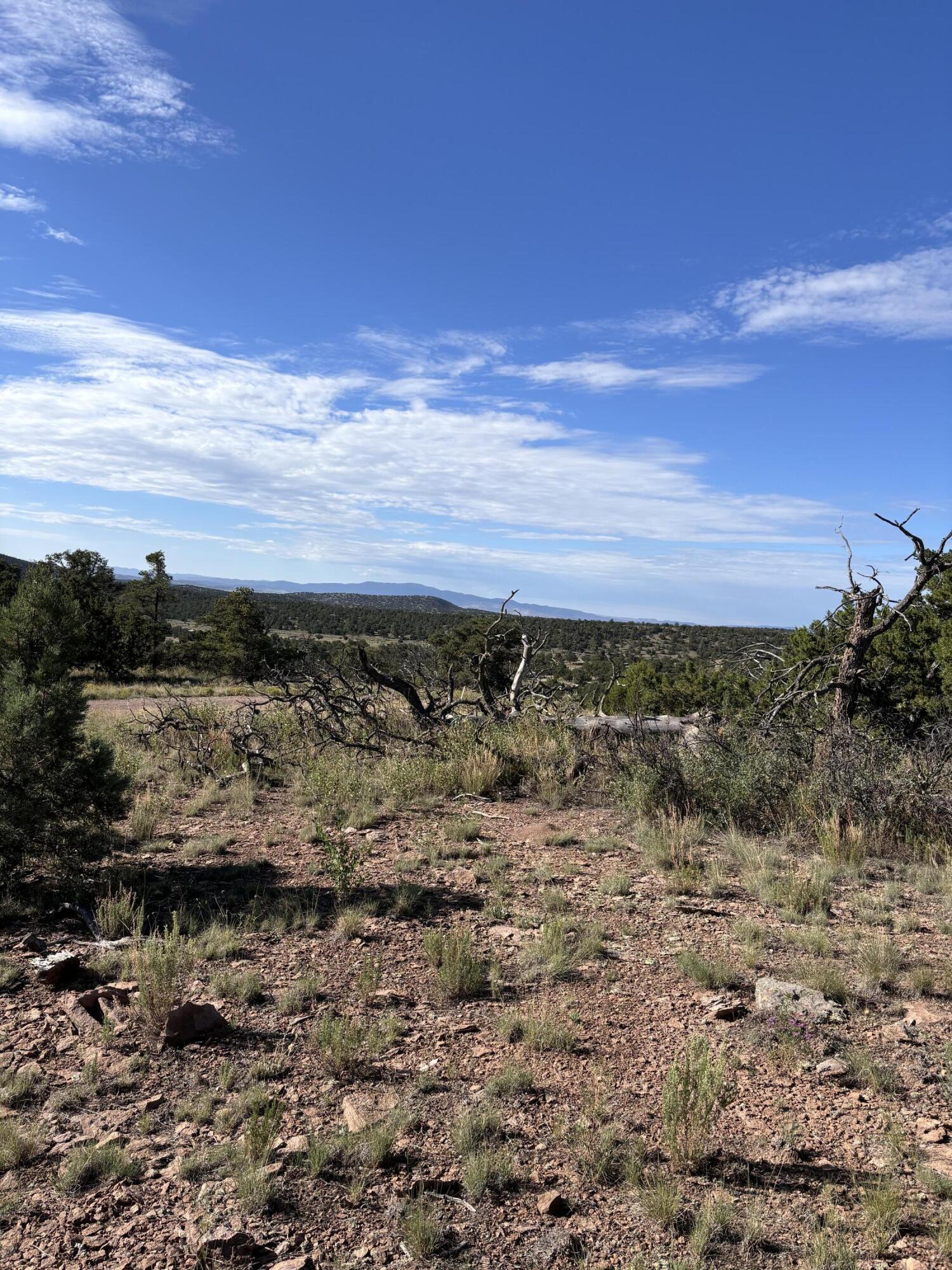 34 Lookout Circle