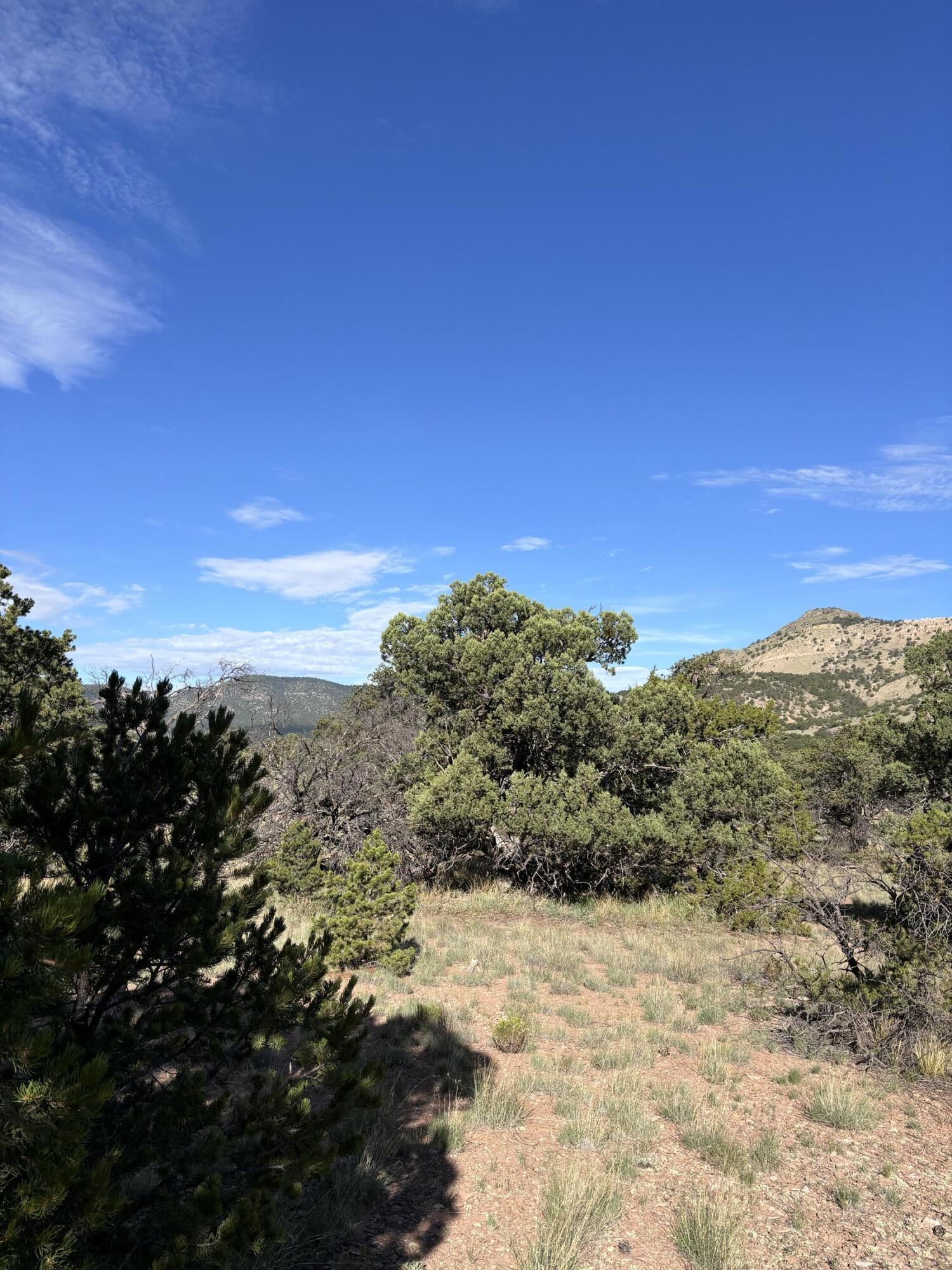 34 Lookout Circle