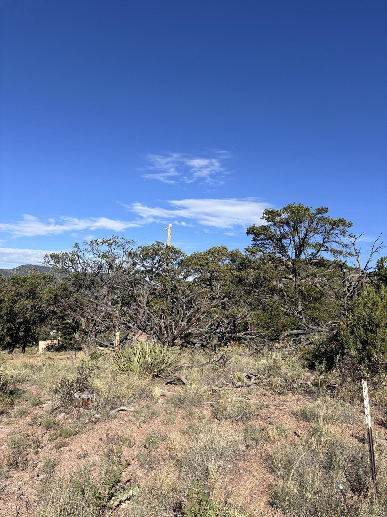34 Lookout Circle