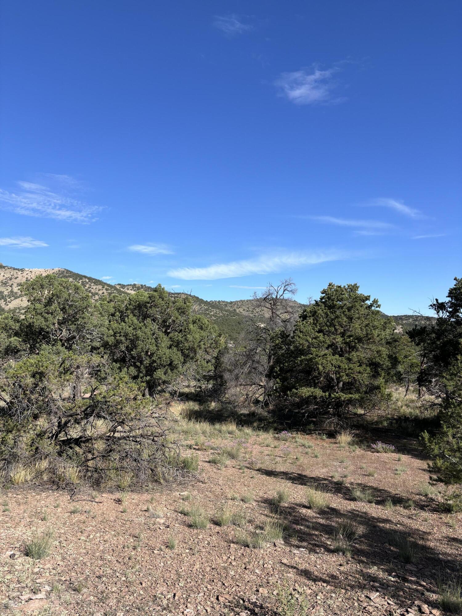 34 Lookout Circle
