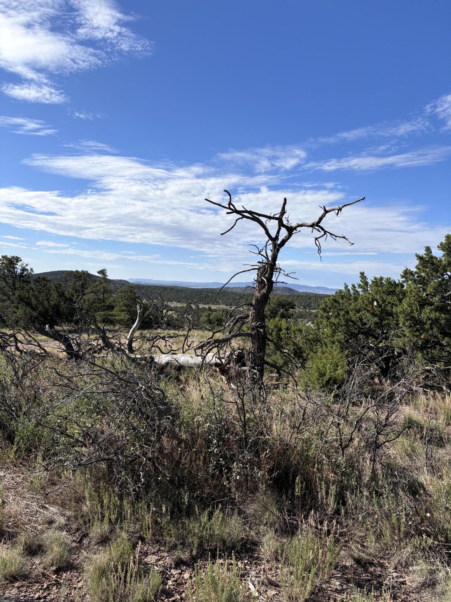 34 Lookout Circle