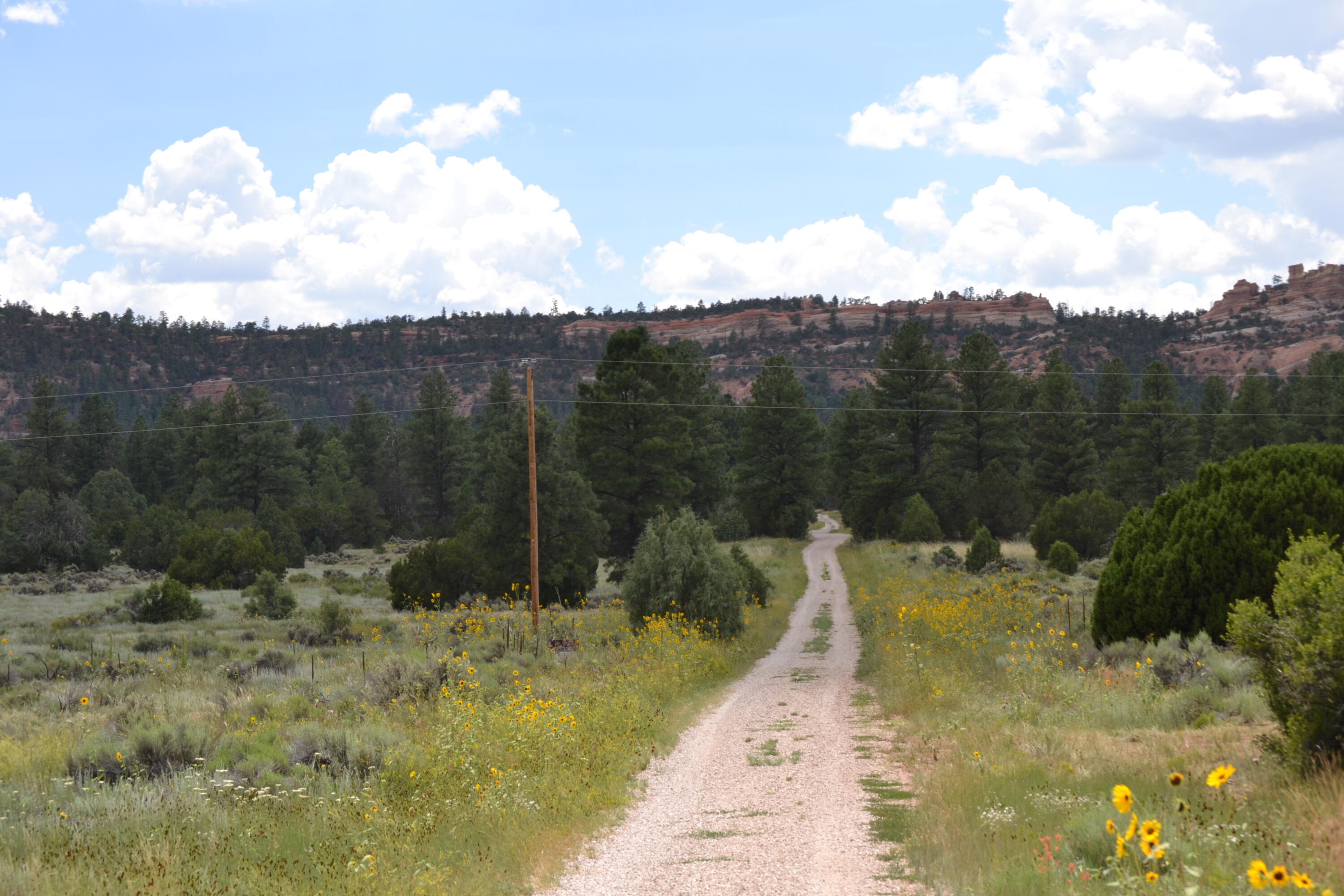 Timberlake Ranch