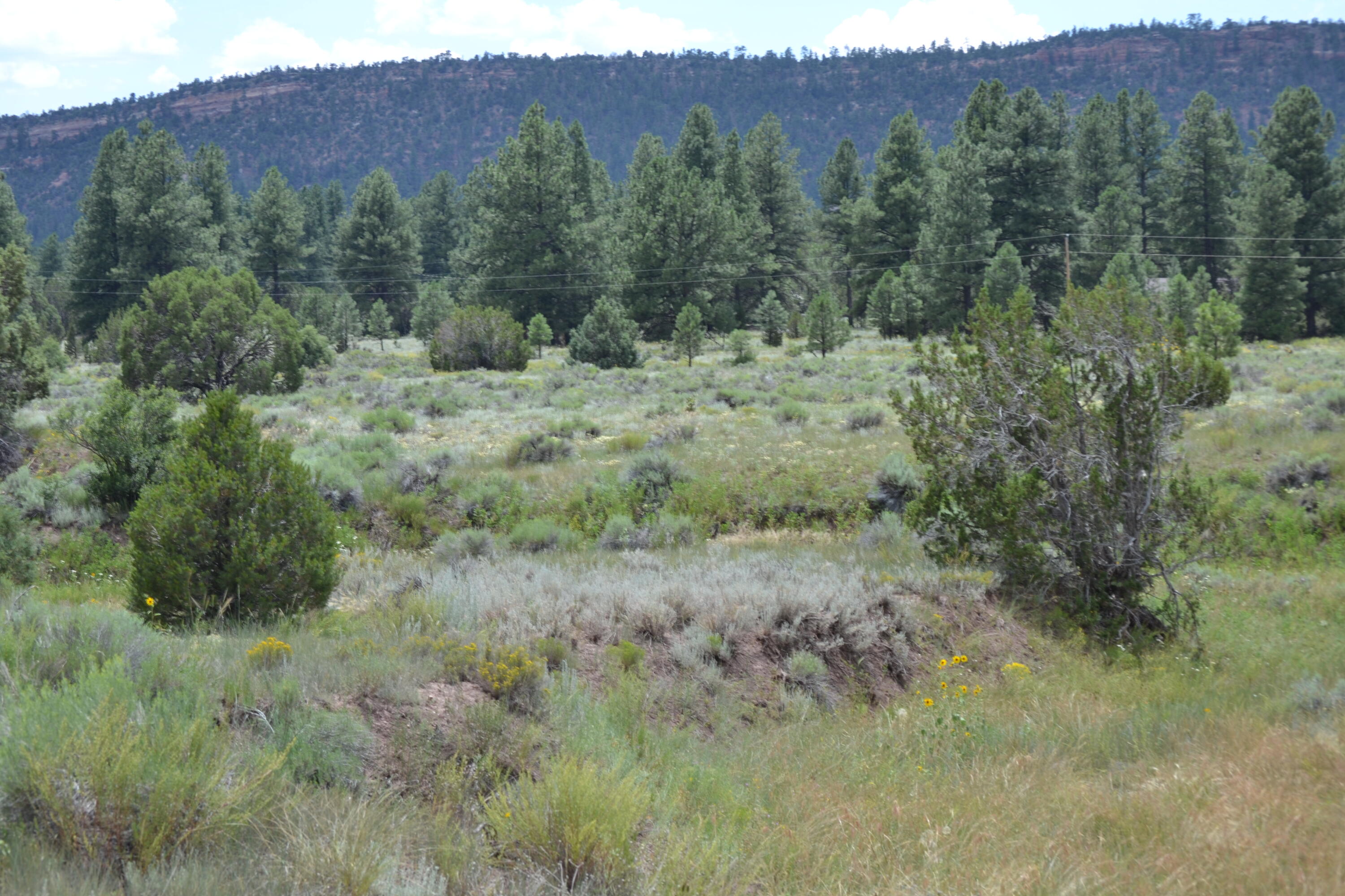 Timberlake Ranch