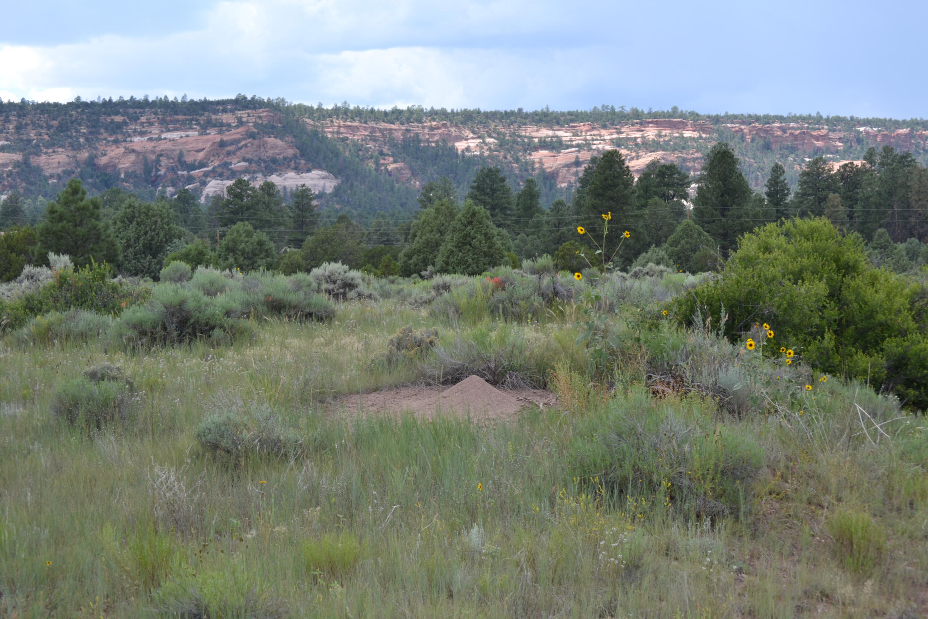 Timberlake Ranch