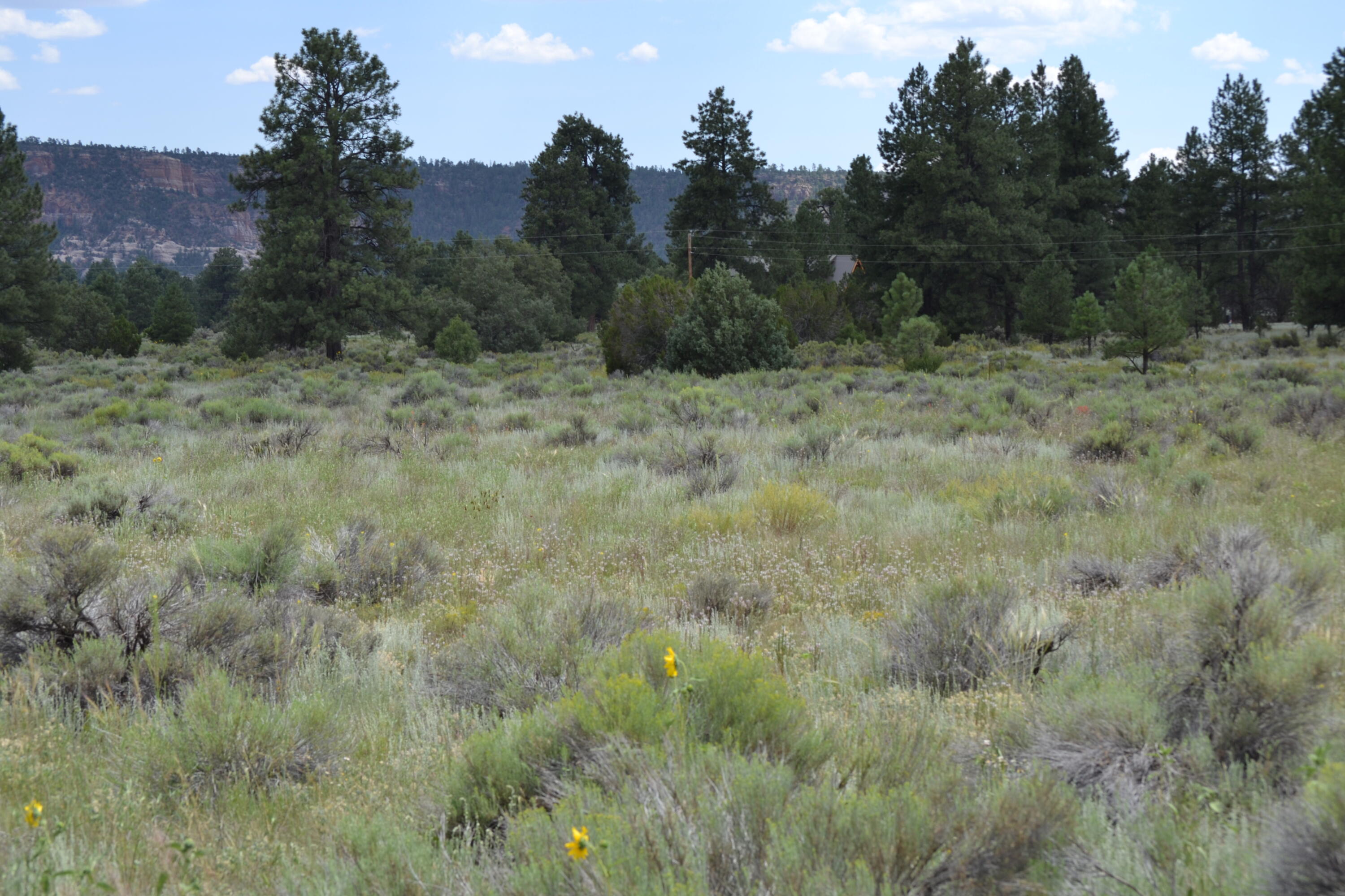Timberlake Ranch