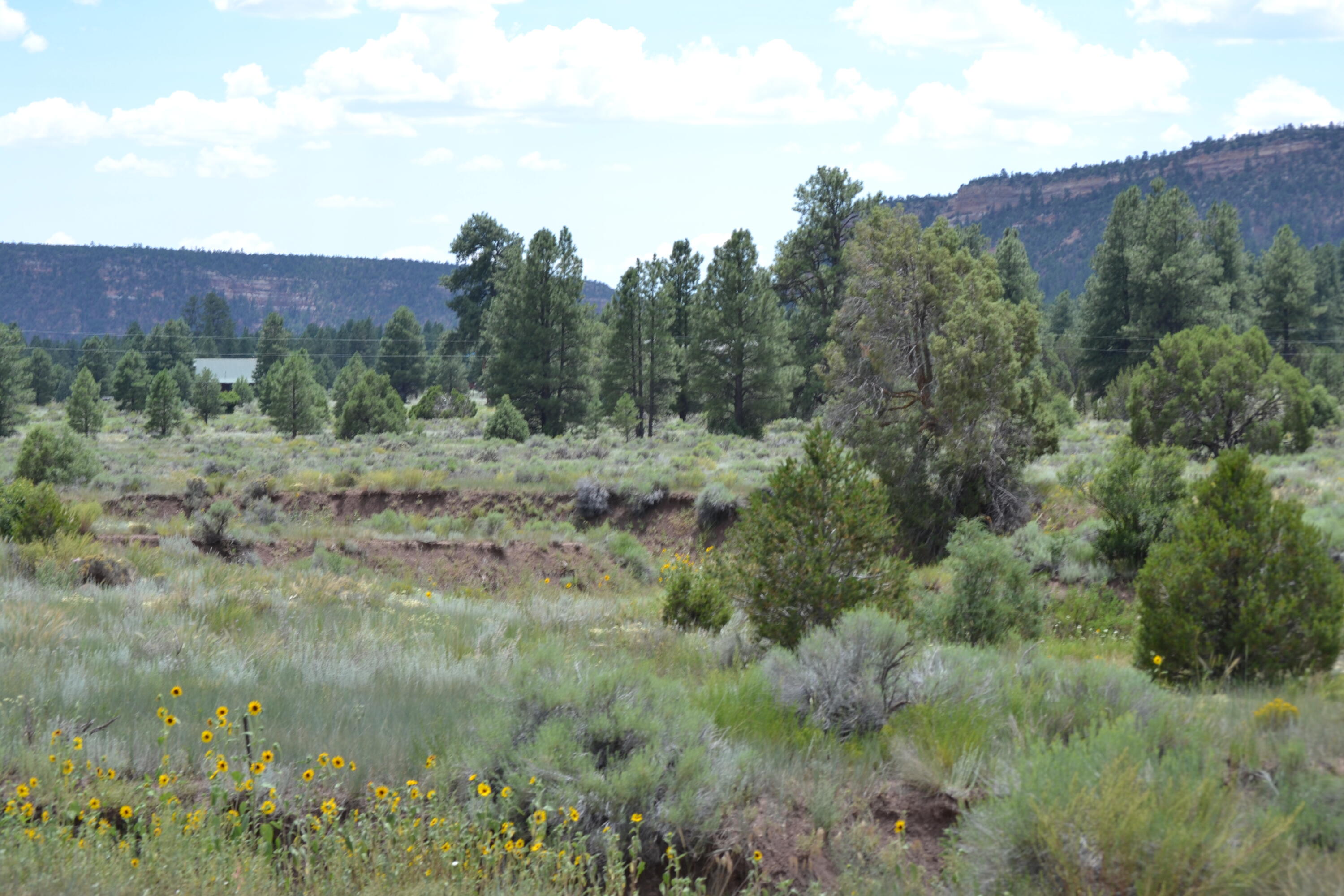 Timberlake Ranch