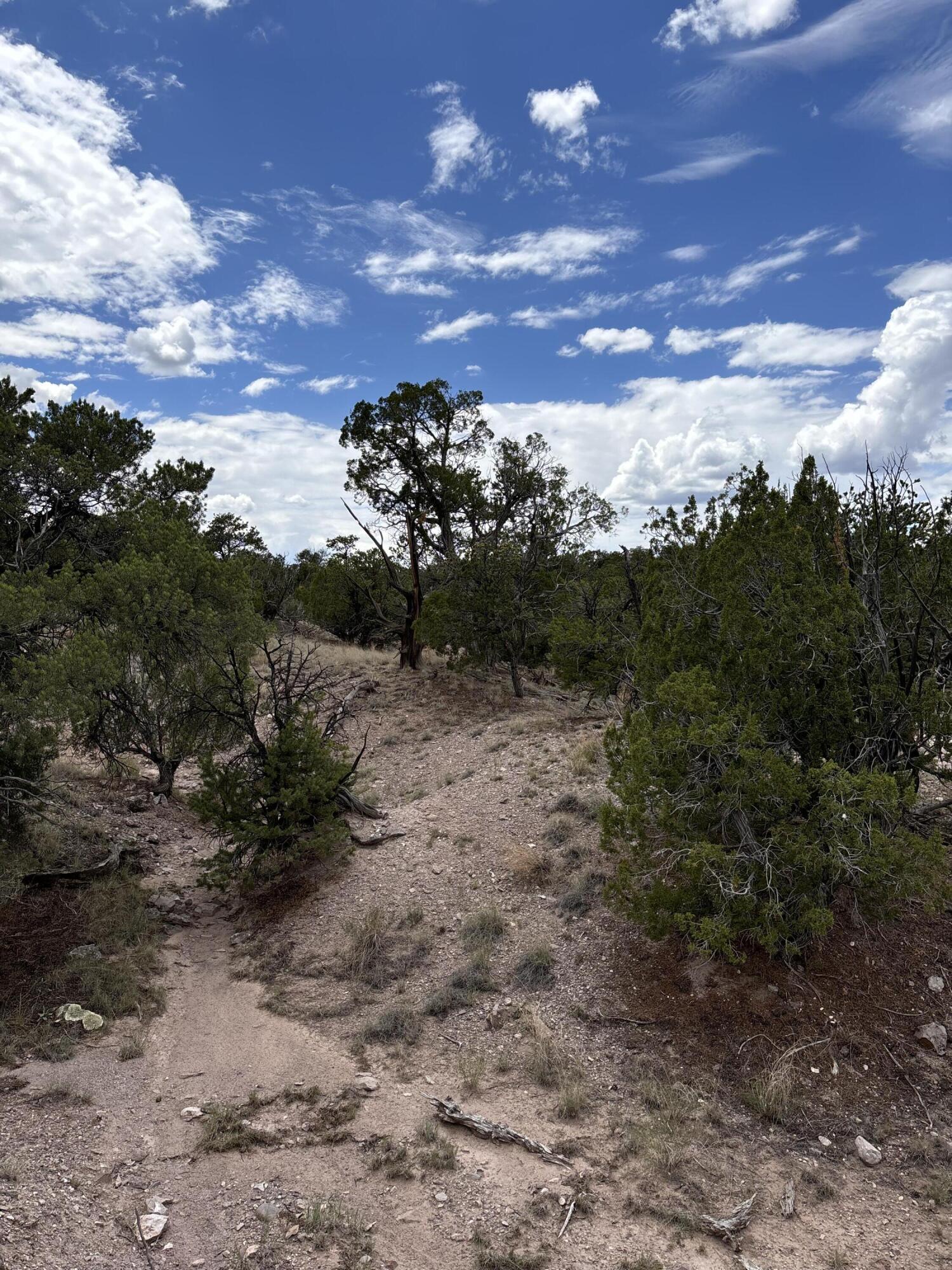 Lot 79 Abbe Springs