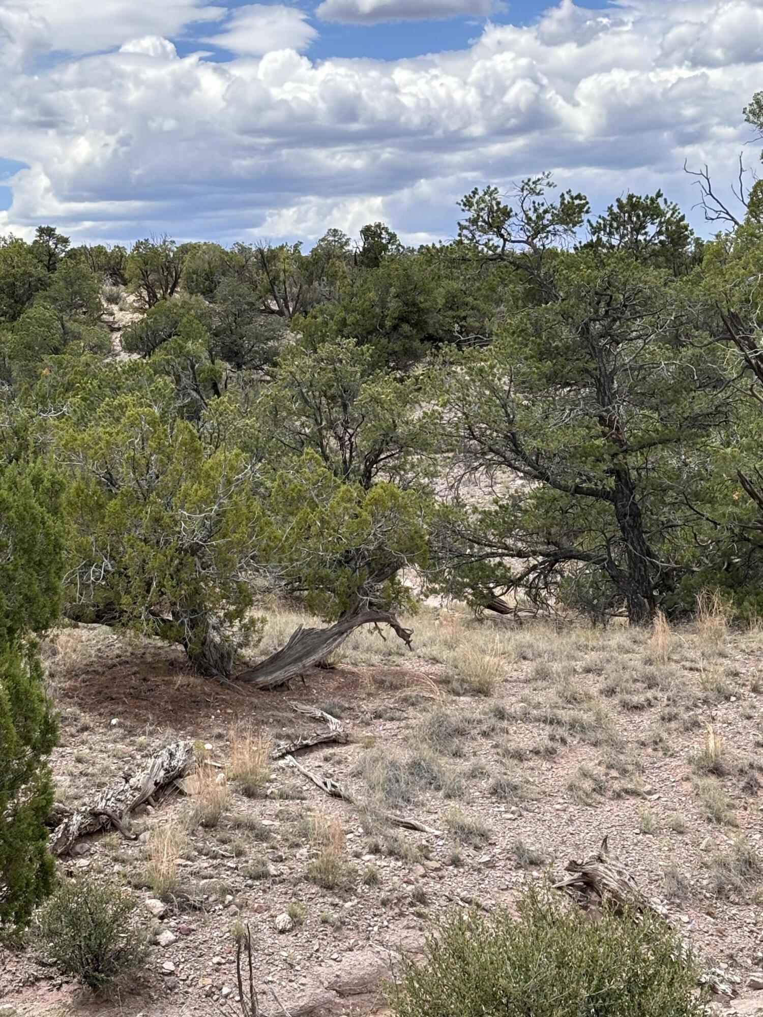 Lot 79 Abbe Springs
