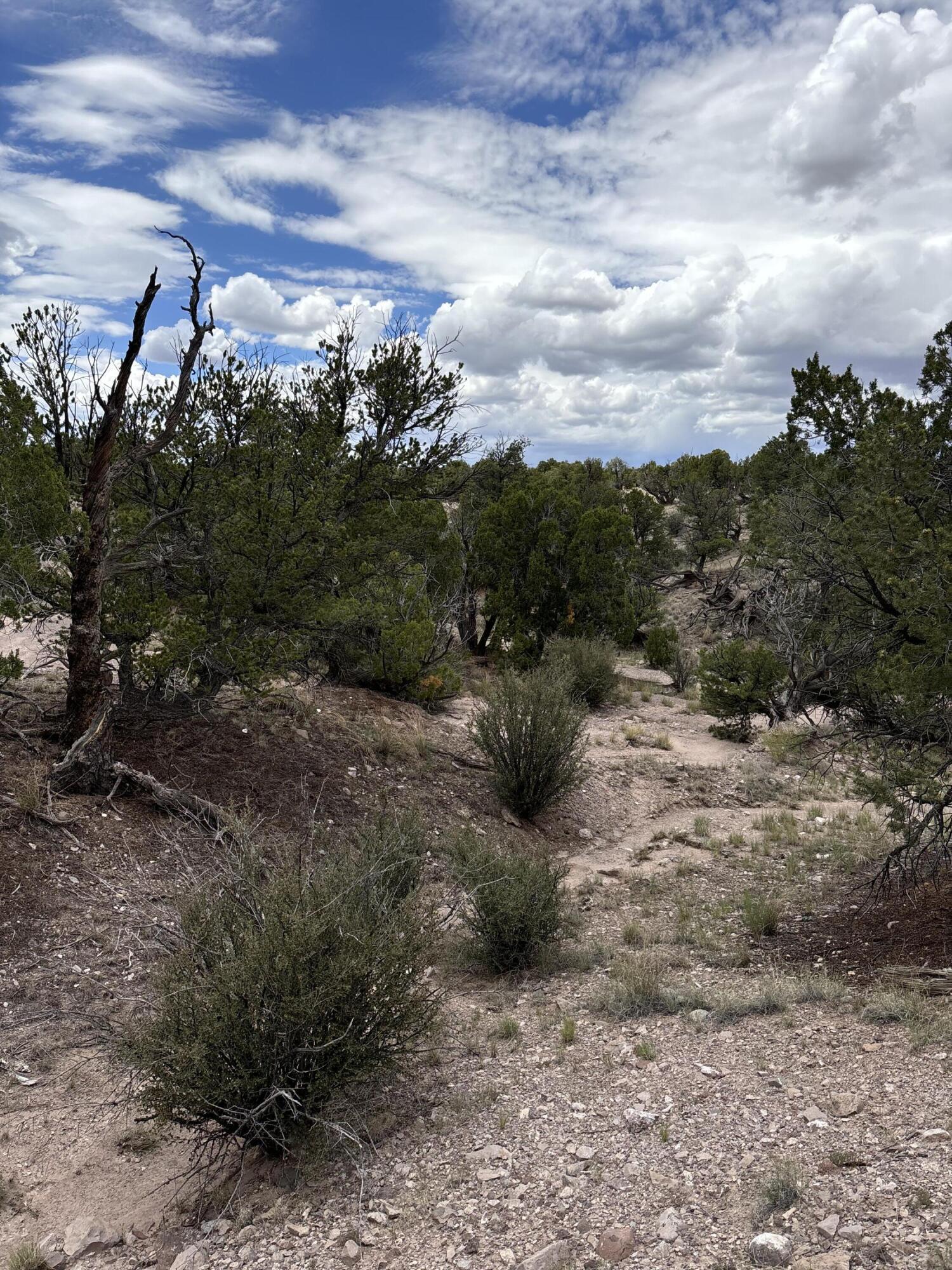 Lot 79 Abbe Springs