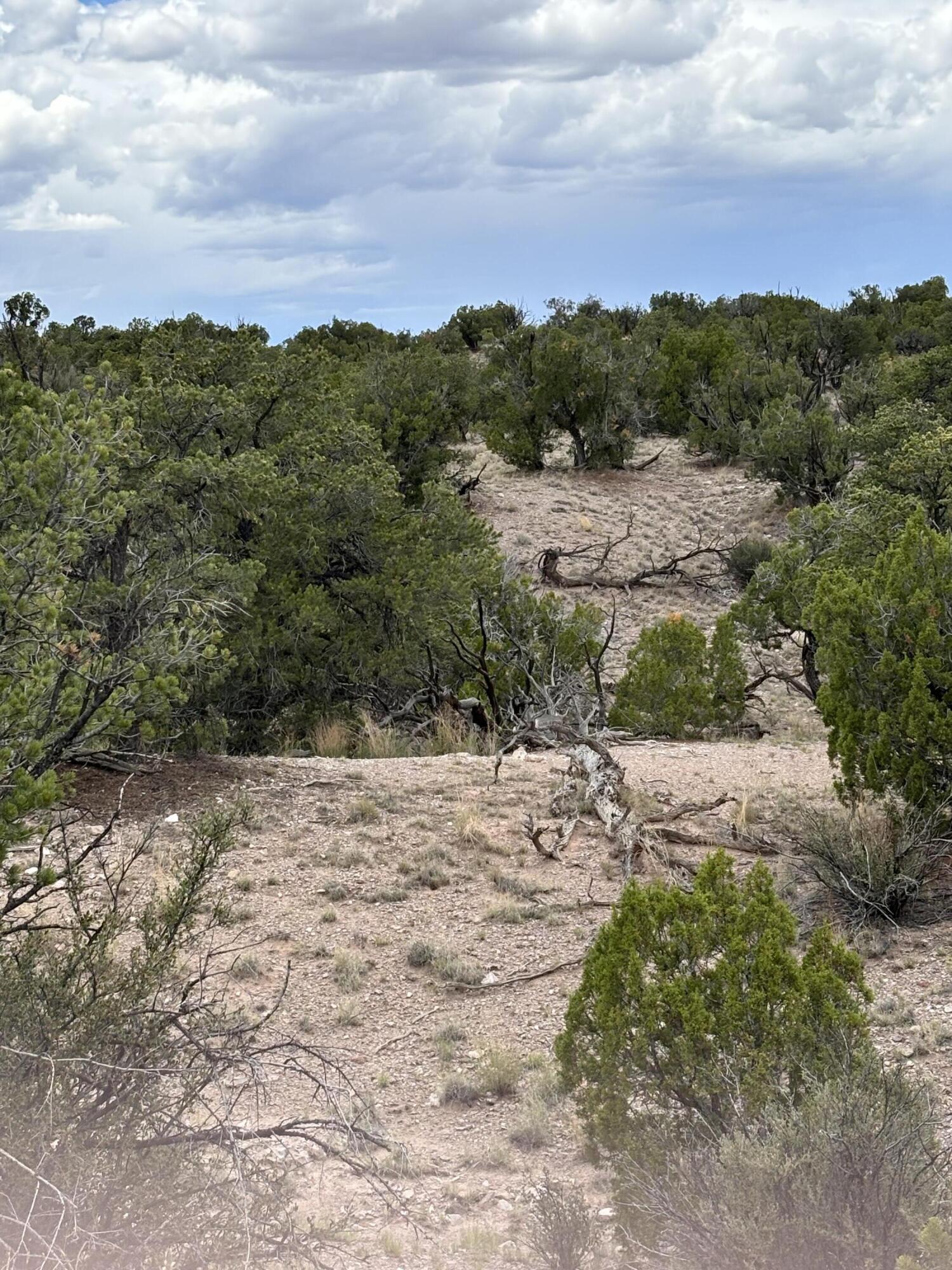 Lot 79 Abbe Springs
