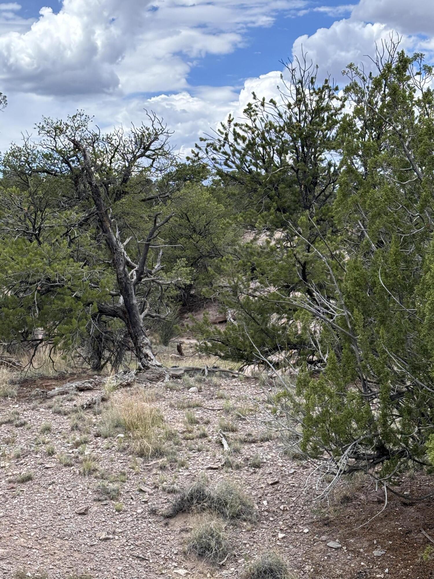 Lot 79 Abbe Springs