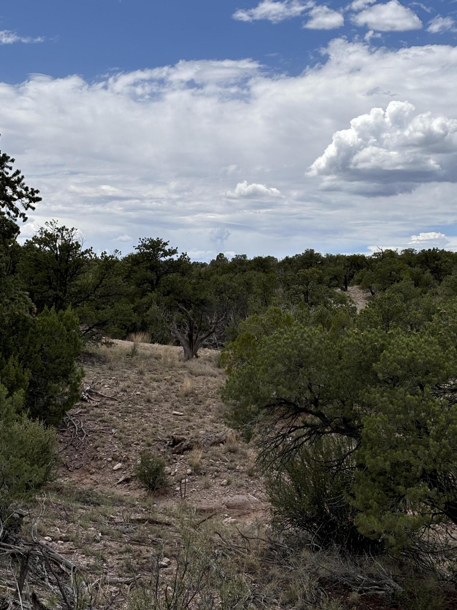 Lot 79 Abbe Springs