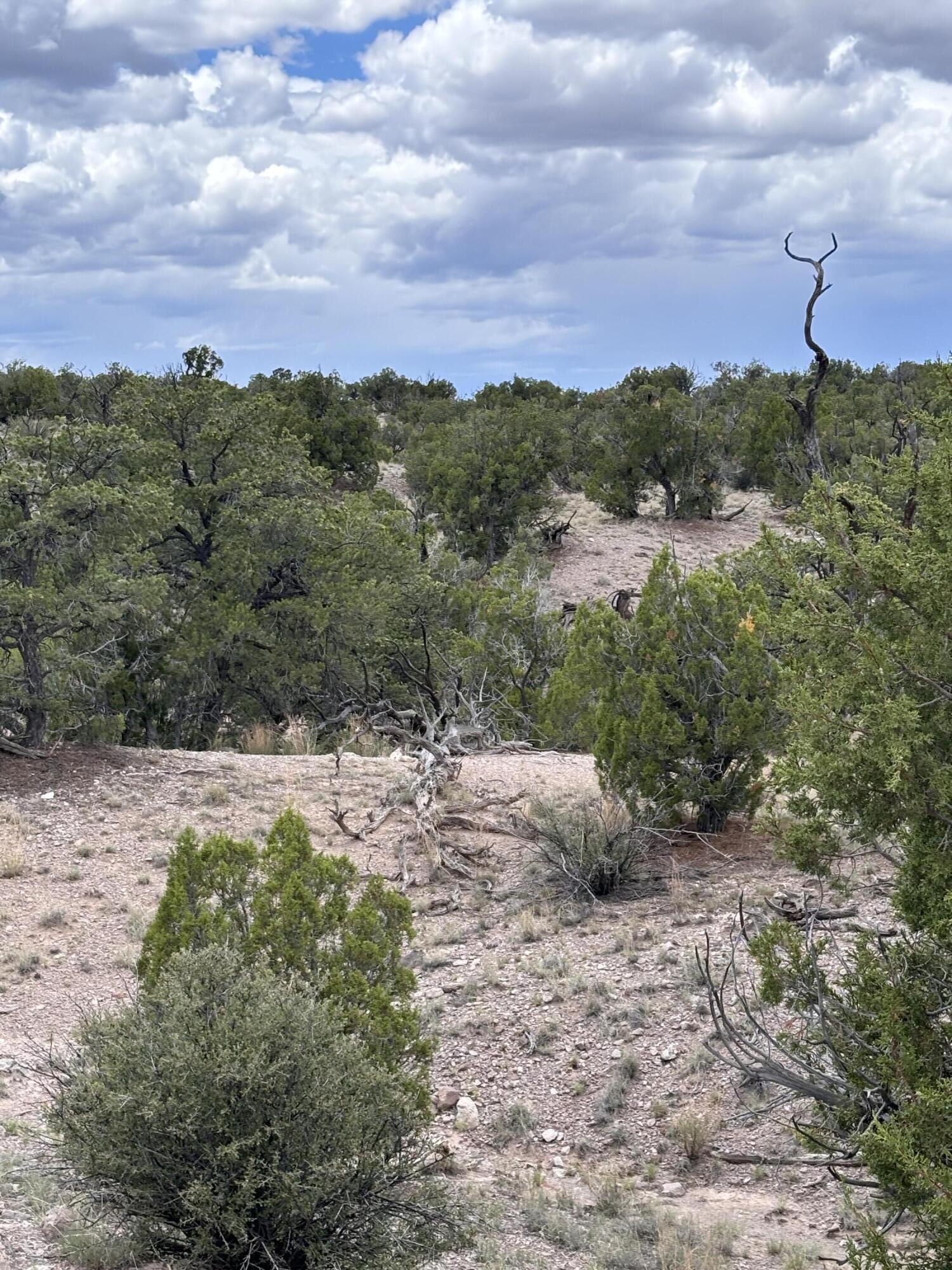 Lot 79 Abbe Springs
