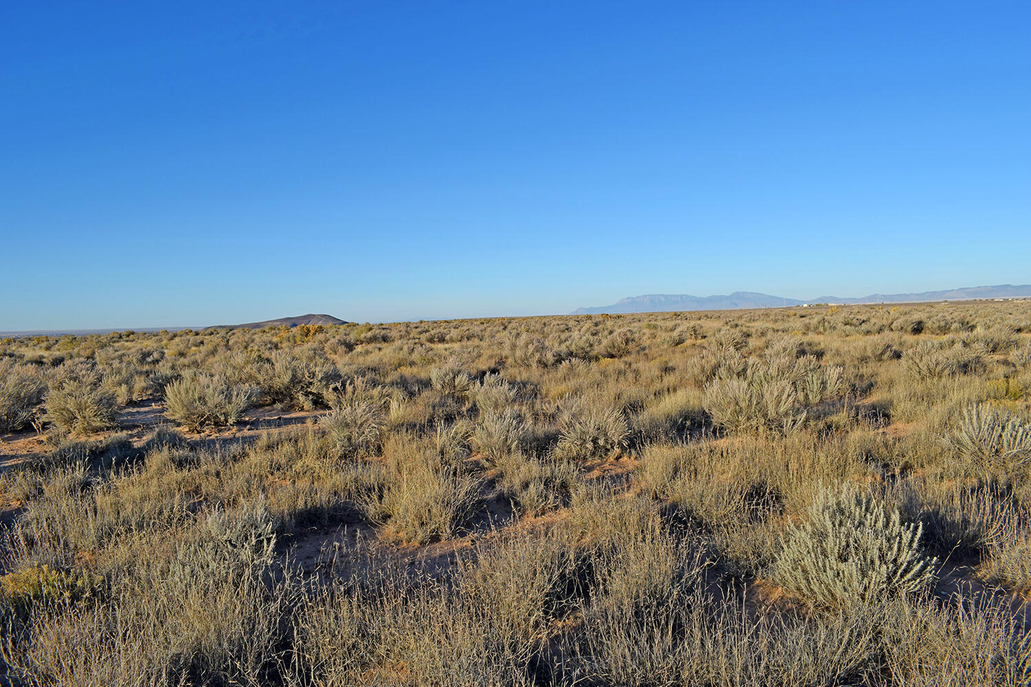Lot 4 Rio Del Oro 61