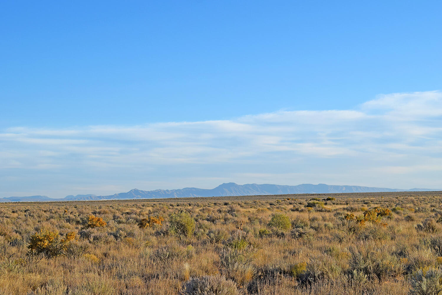 Lot 4 Rio Del Oro 61