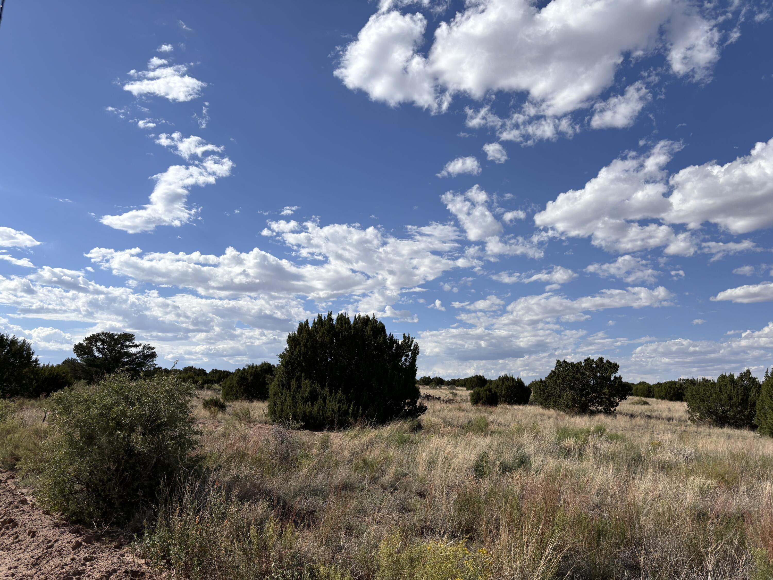 Lot 43 Pinon Springs Ranches